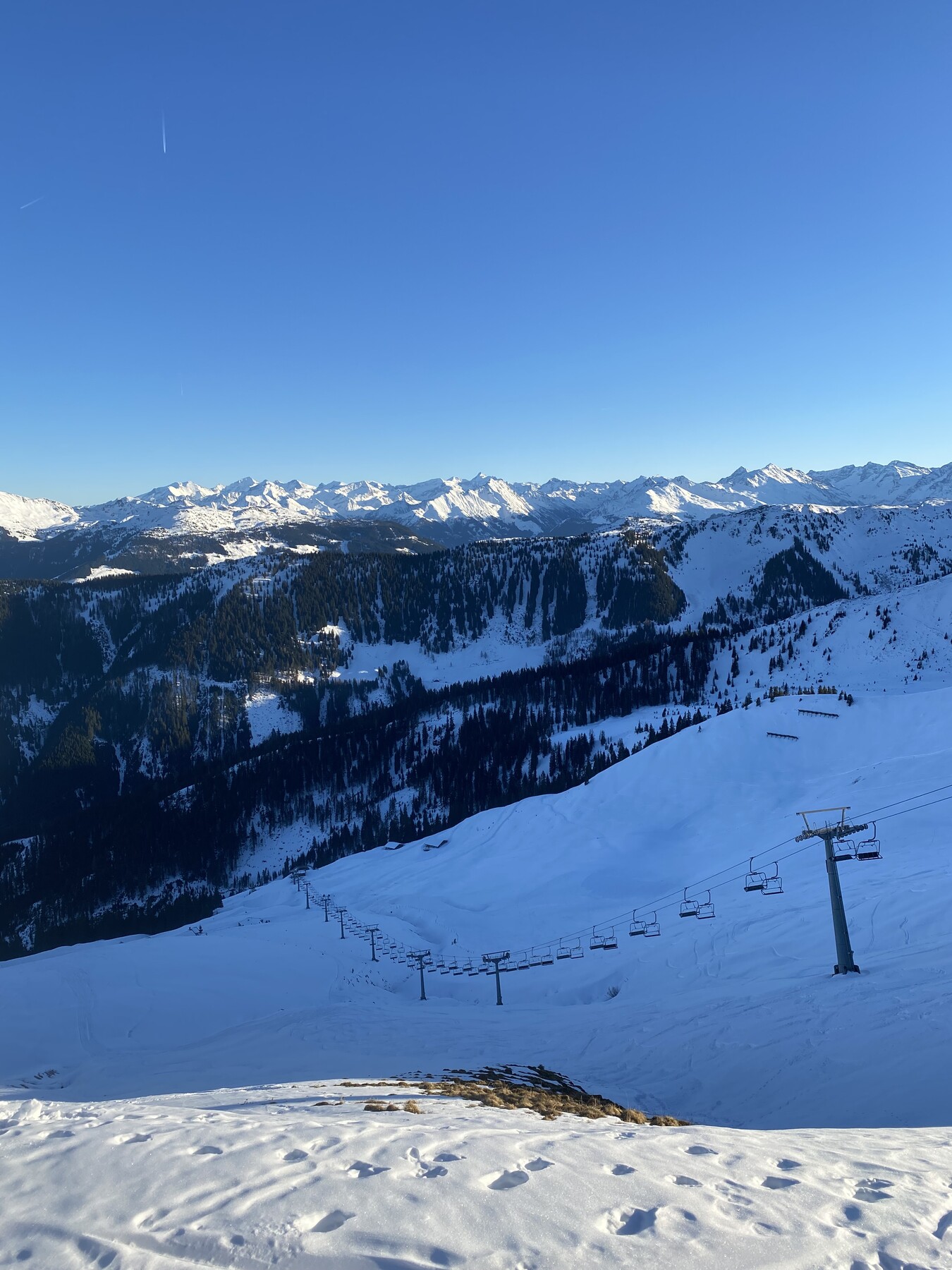 IMG_0315.jpeg