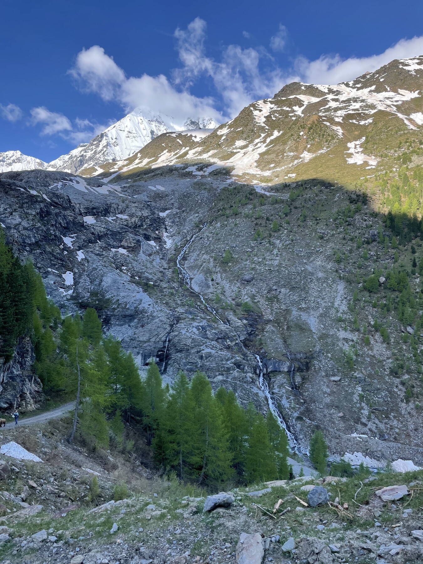 IMG_0829.jpeg