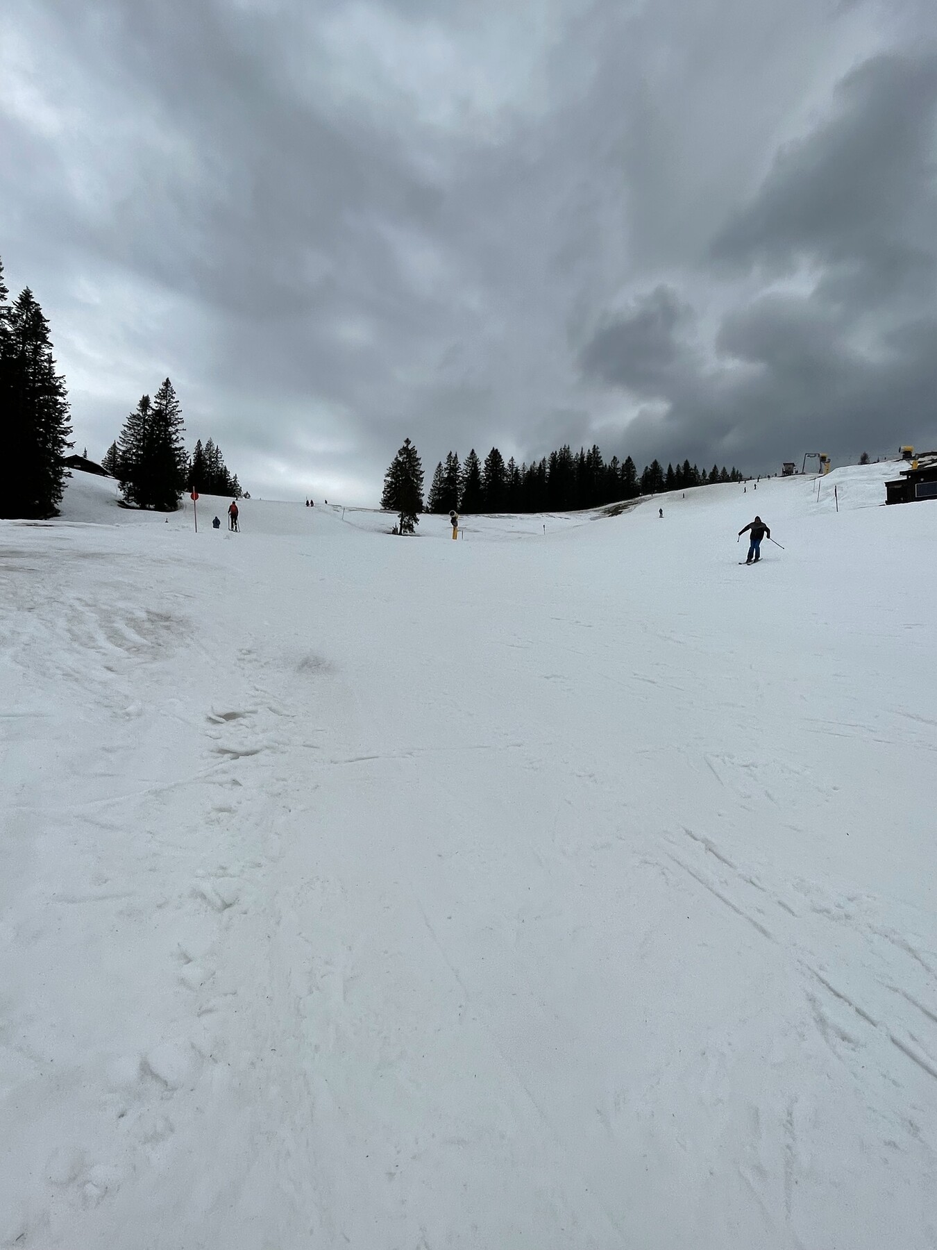 IMG_0909.jpeg