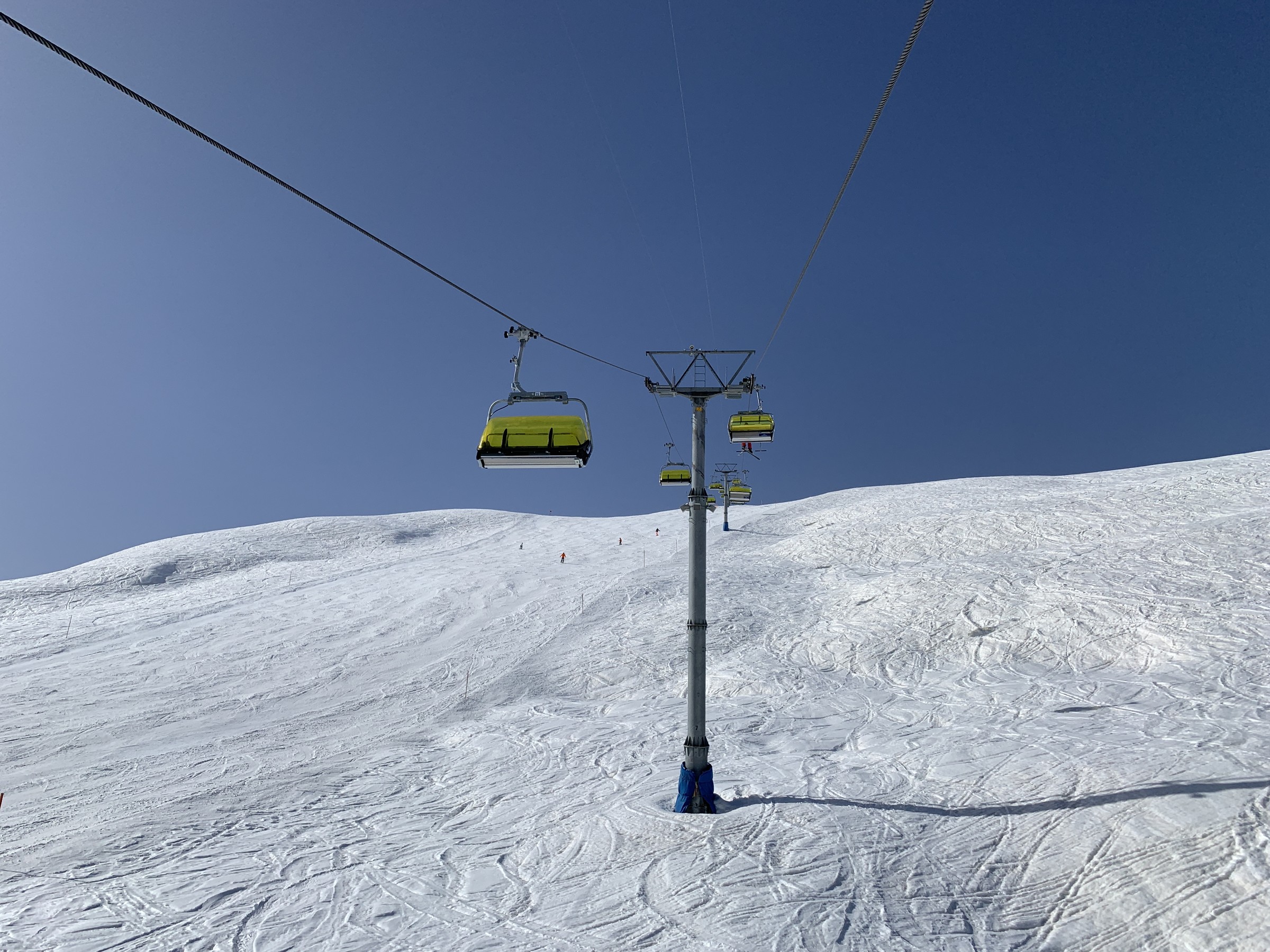 IMG_1009.jpeg