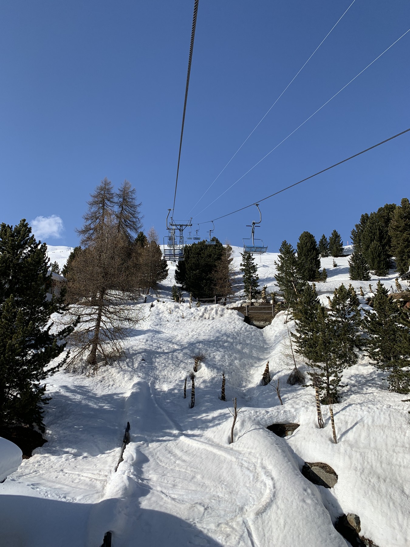IMG_1091.jpeg