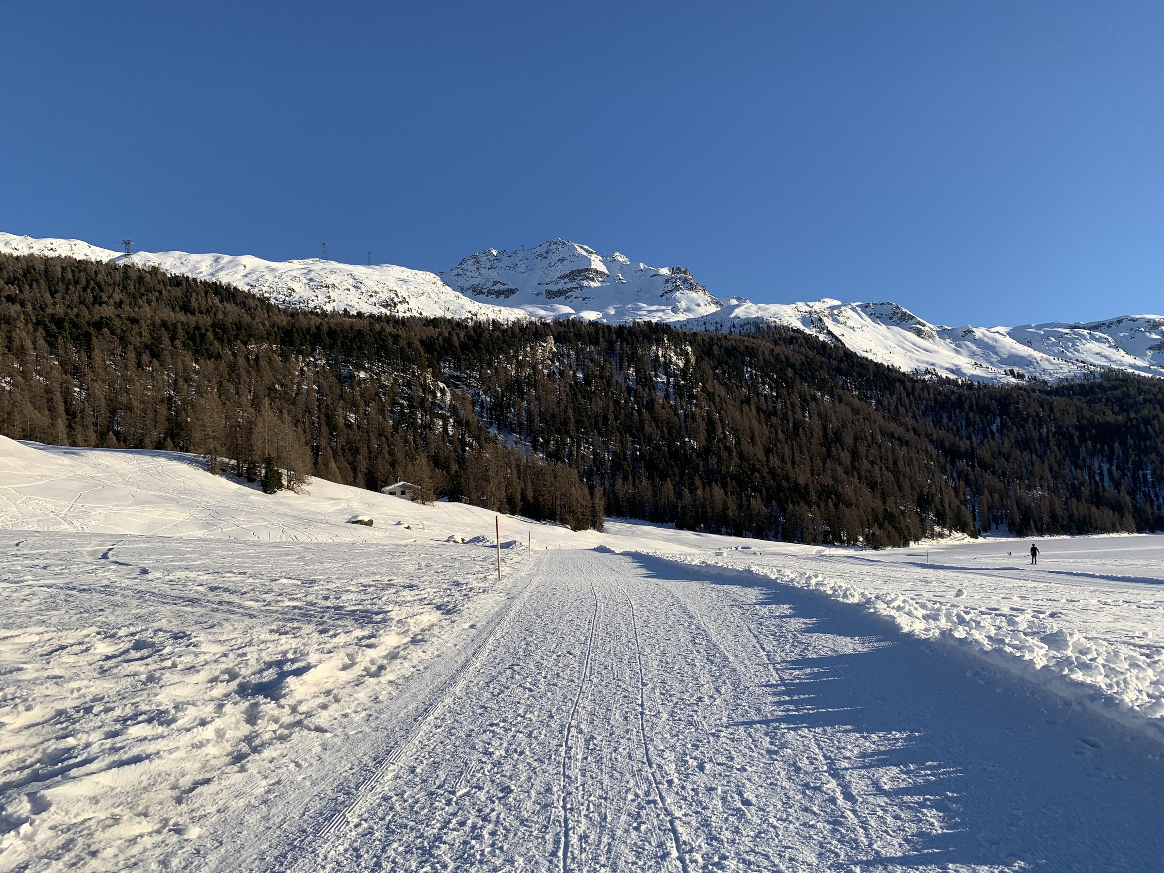 IMG_1153 2.jpeg
