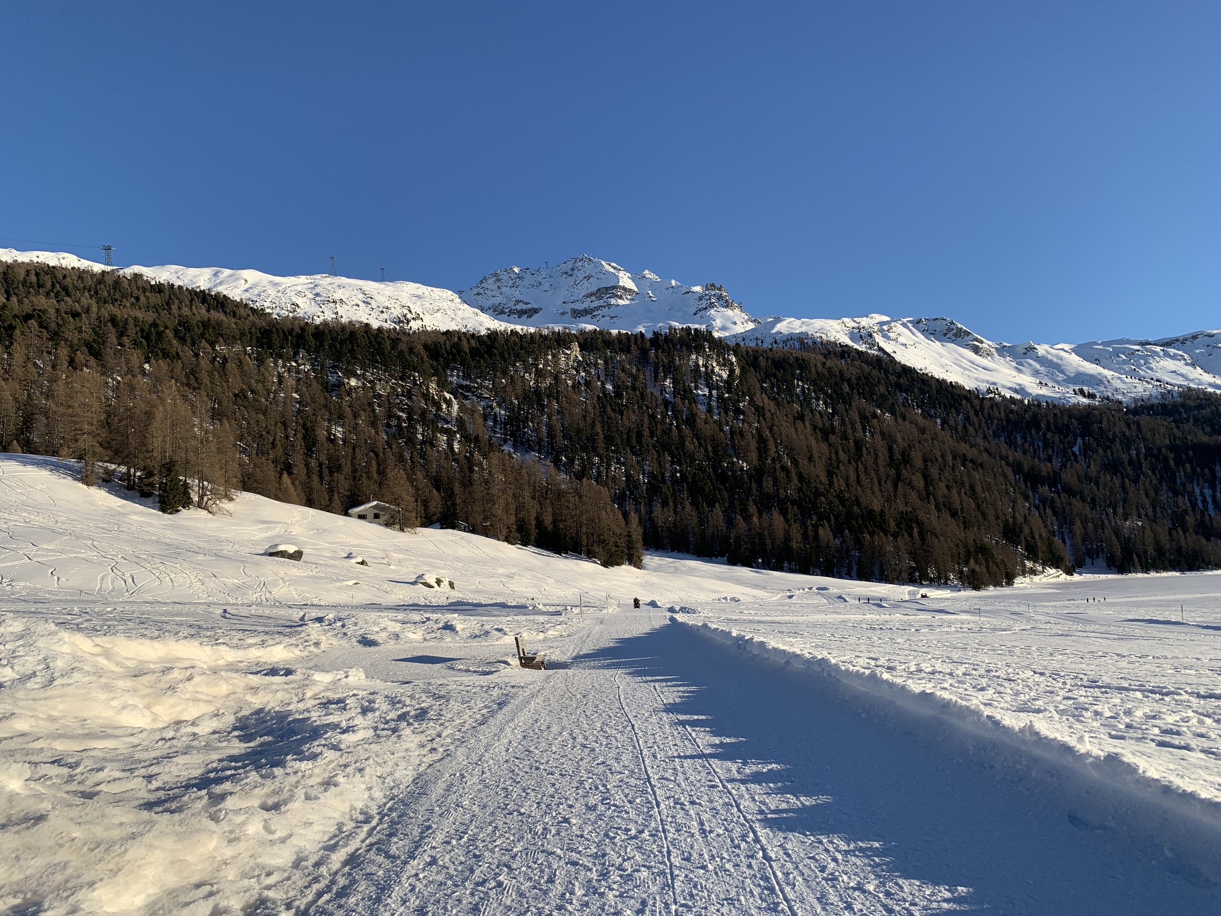 IMG_1156 2.jpeg