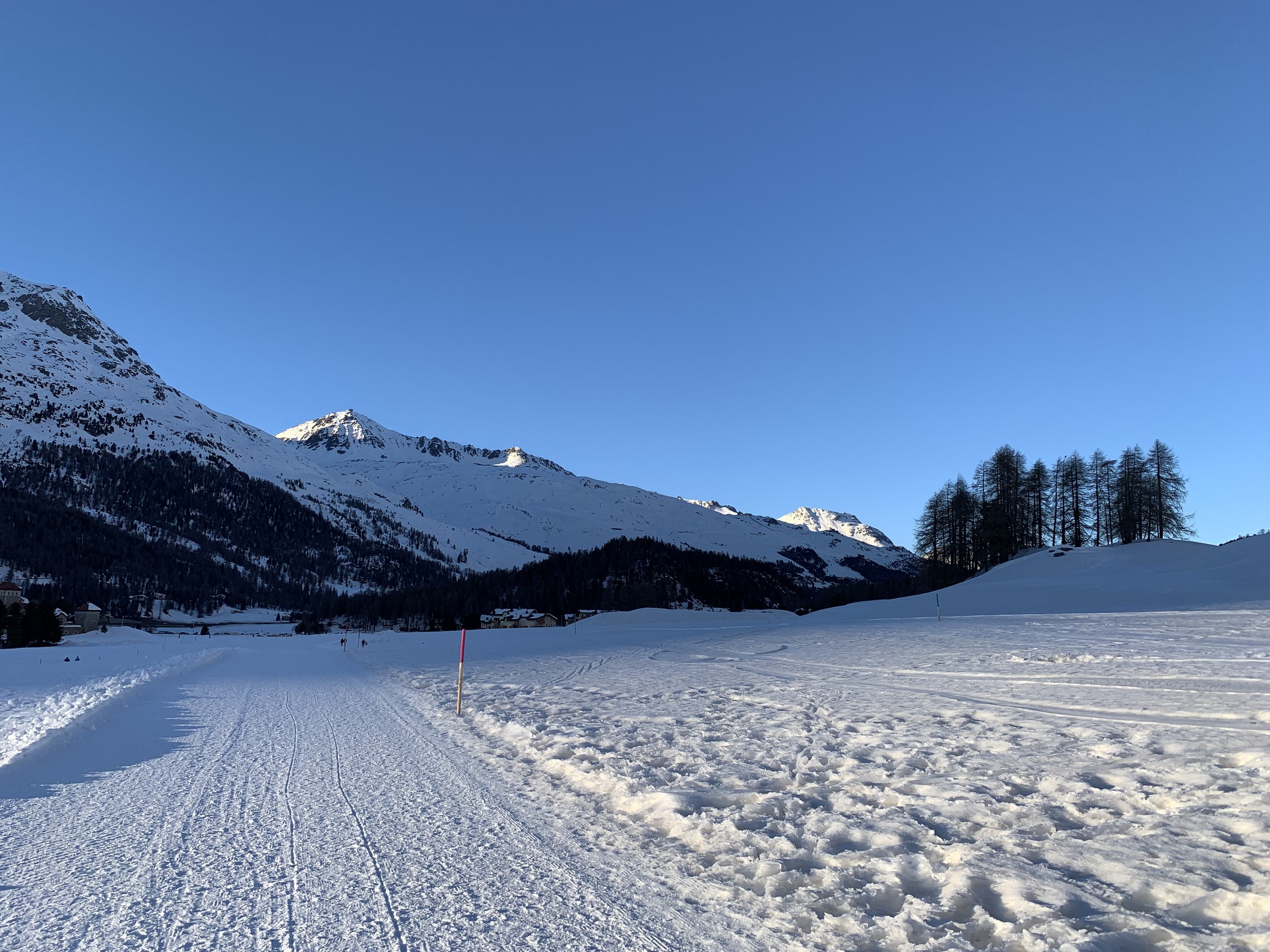 IMG_1161 2.jpeg