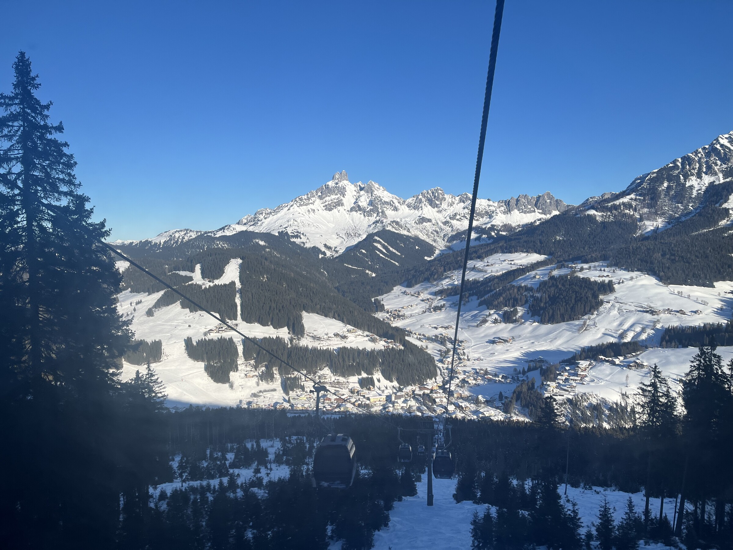 IMG_1311.jpeg