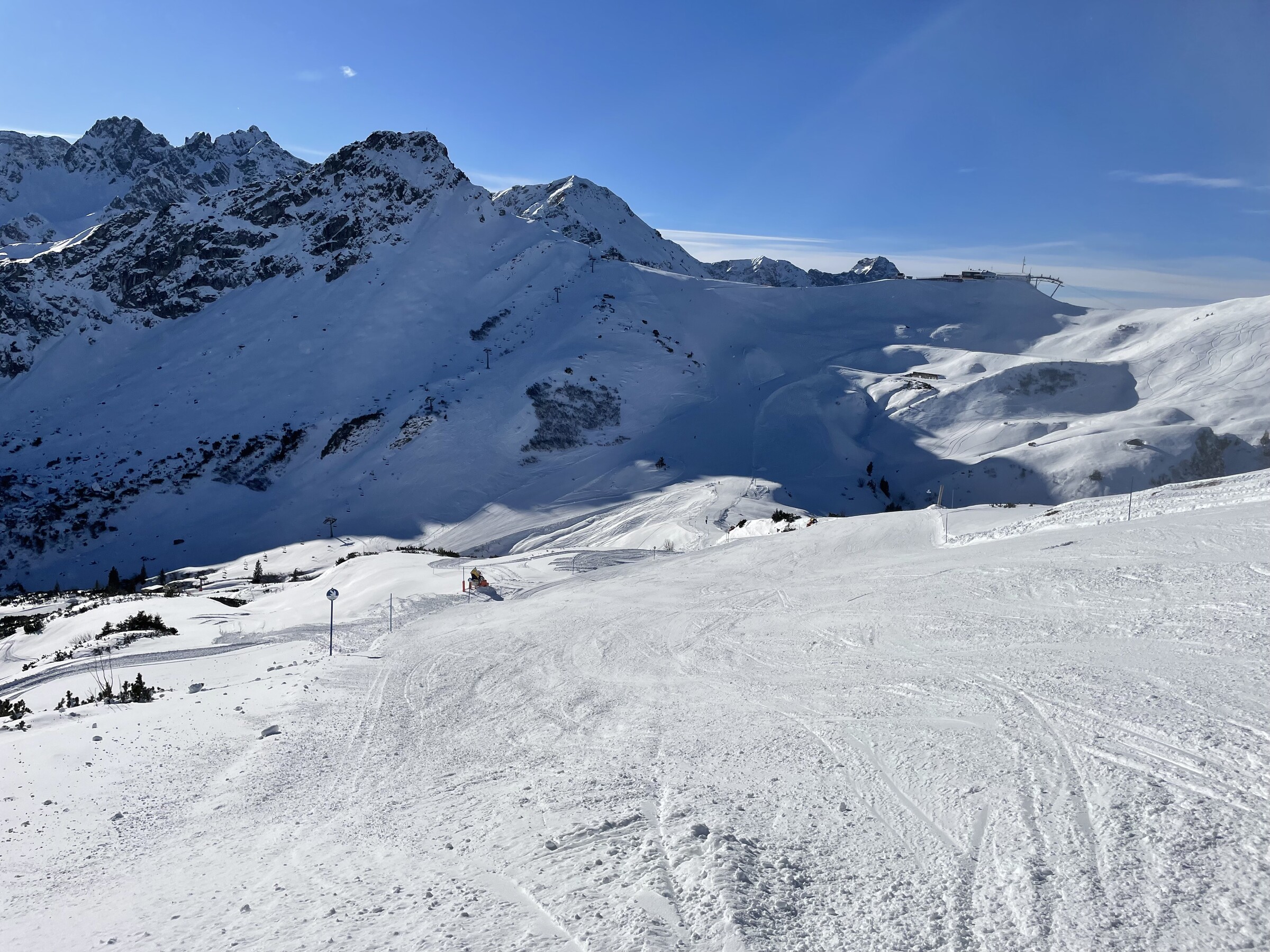 IMG_1316.jpeg
