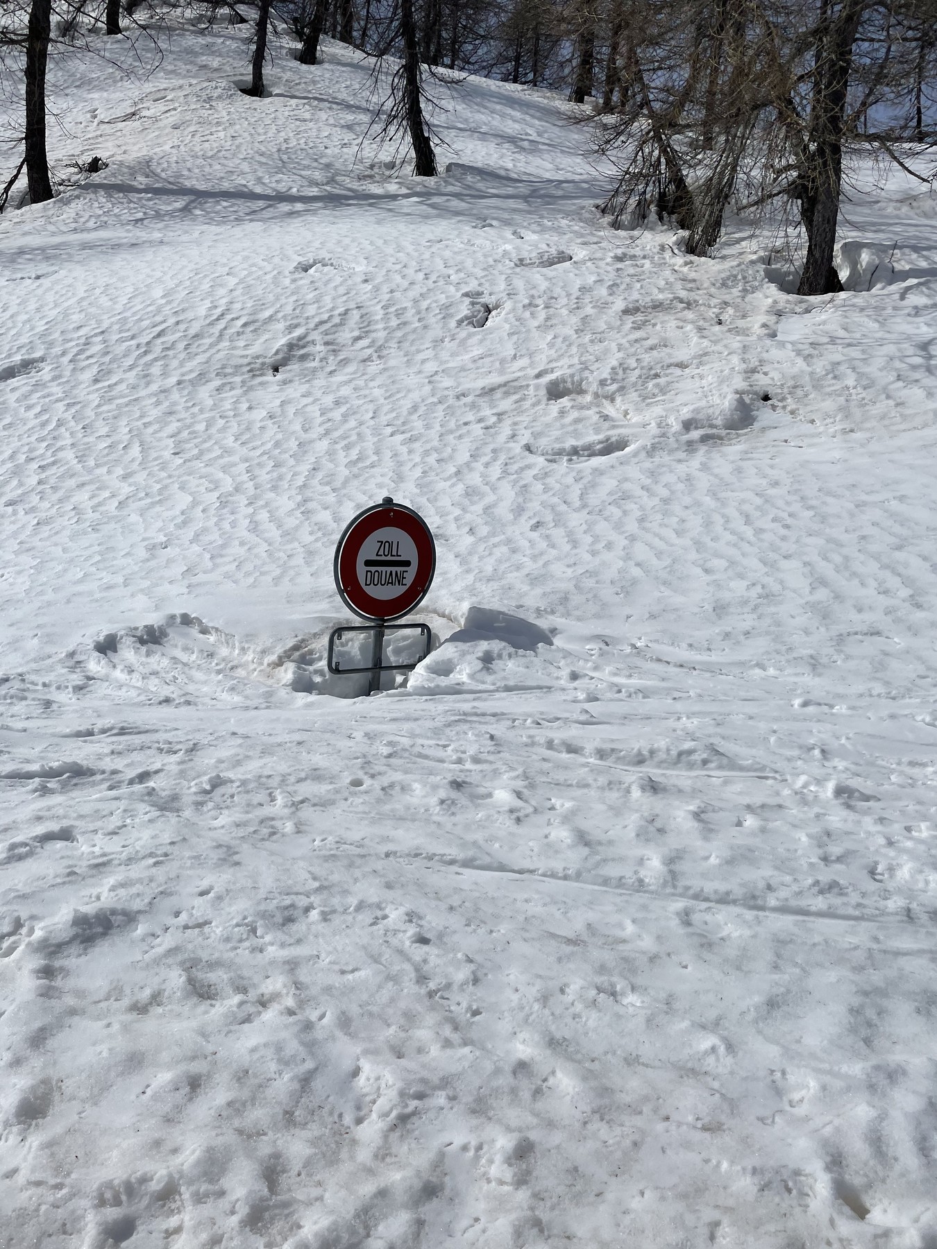 IMG_1323.jpeg