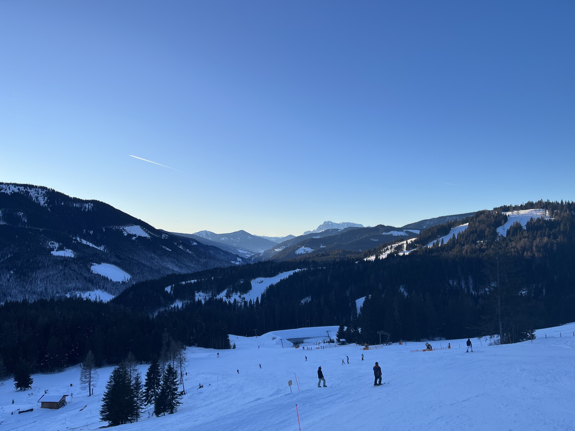 IMG_1362.jpeg