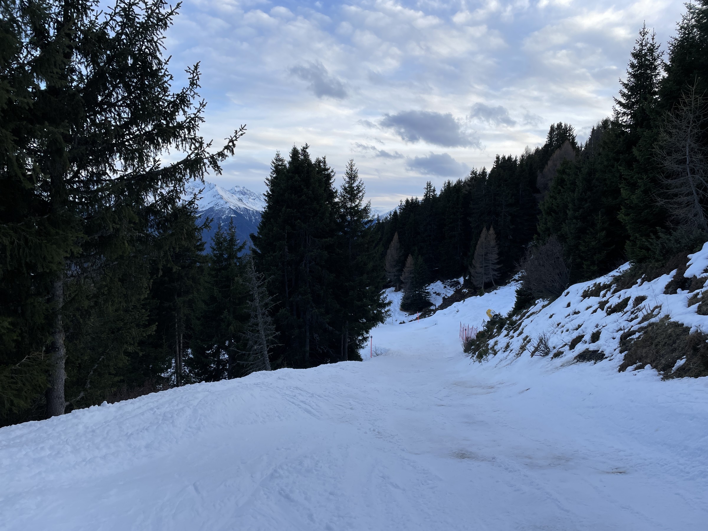 IMG_1378.jpeg