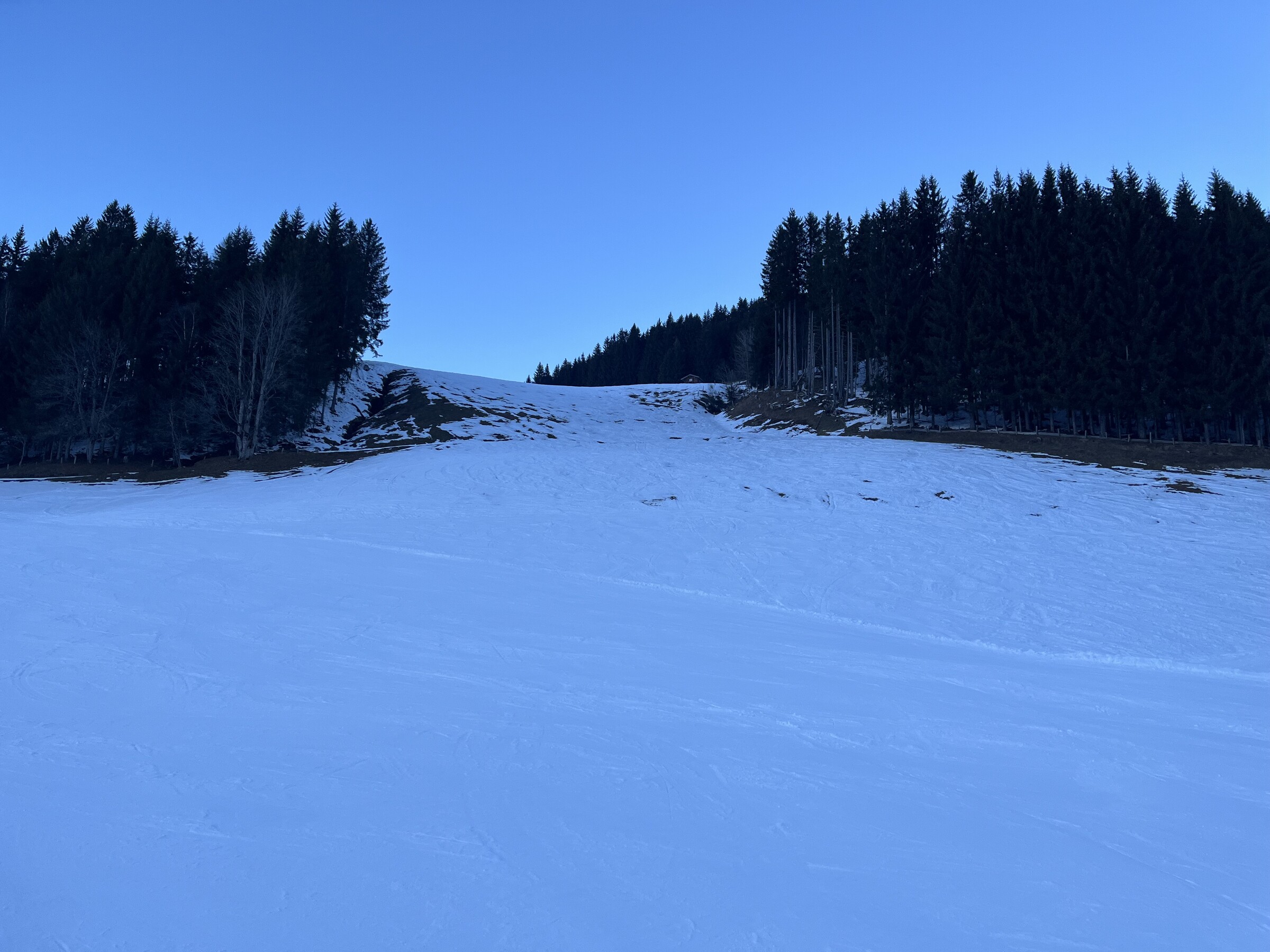 IMG_1380.jpeg