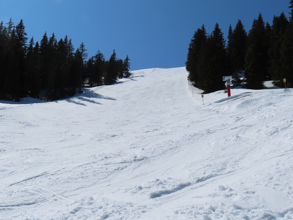 IMG_1452.JPG