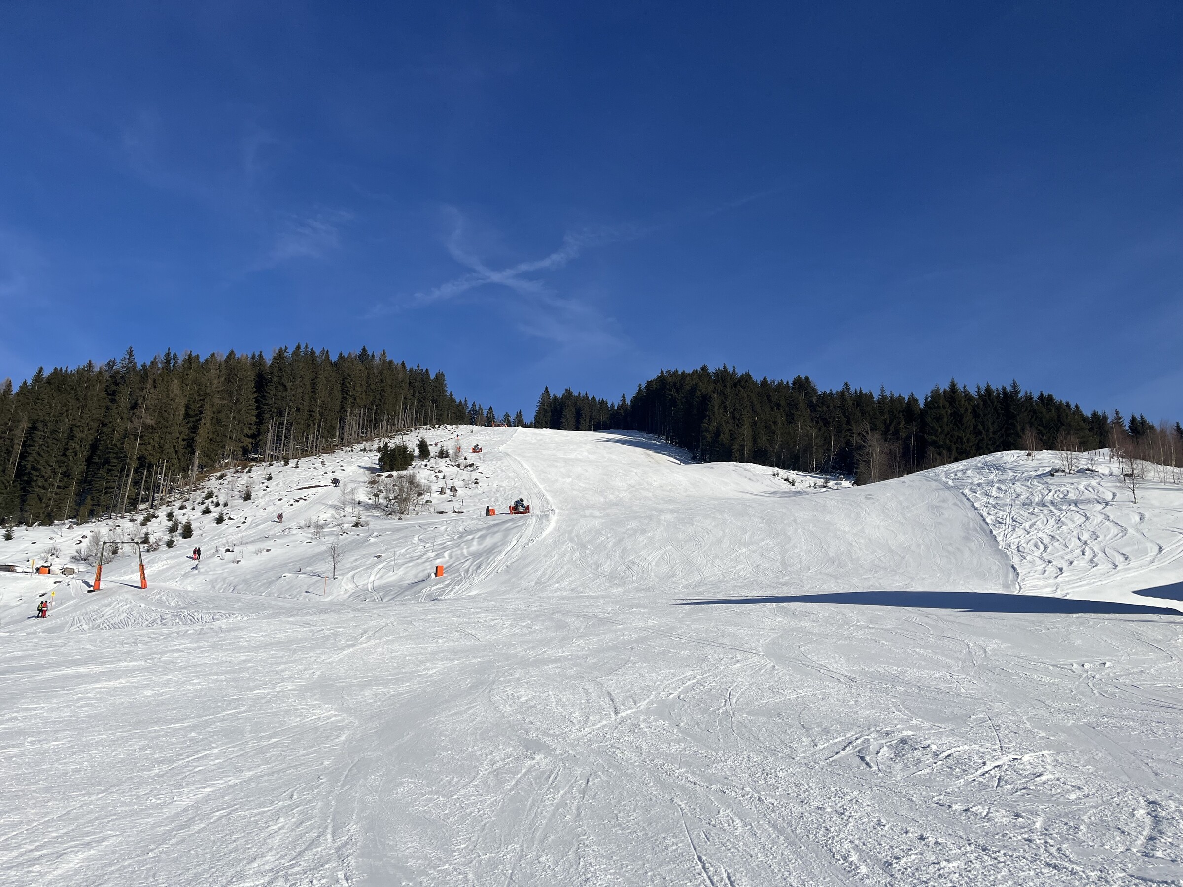 IMG_1453.jpeg