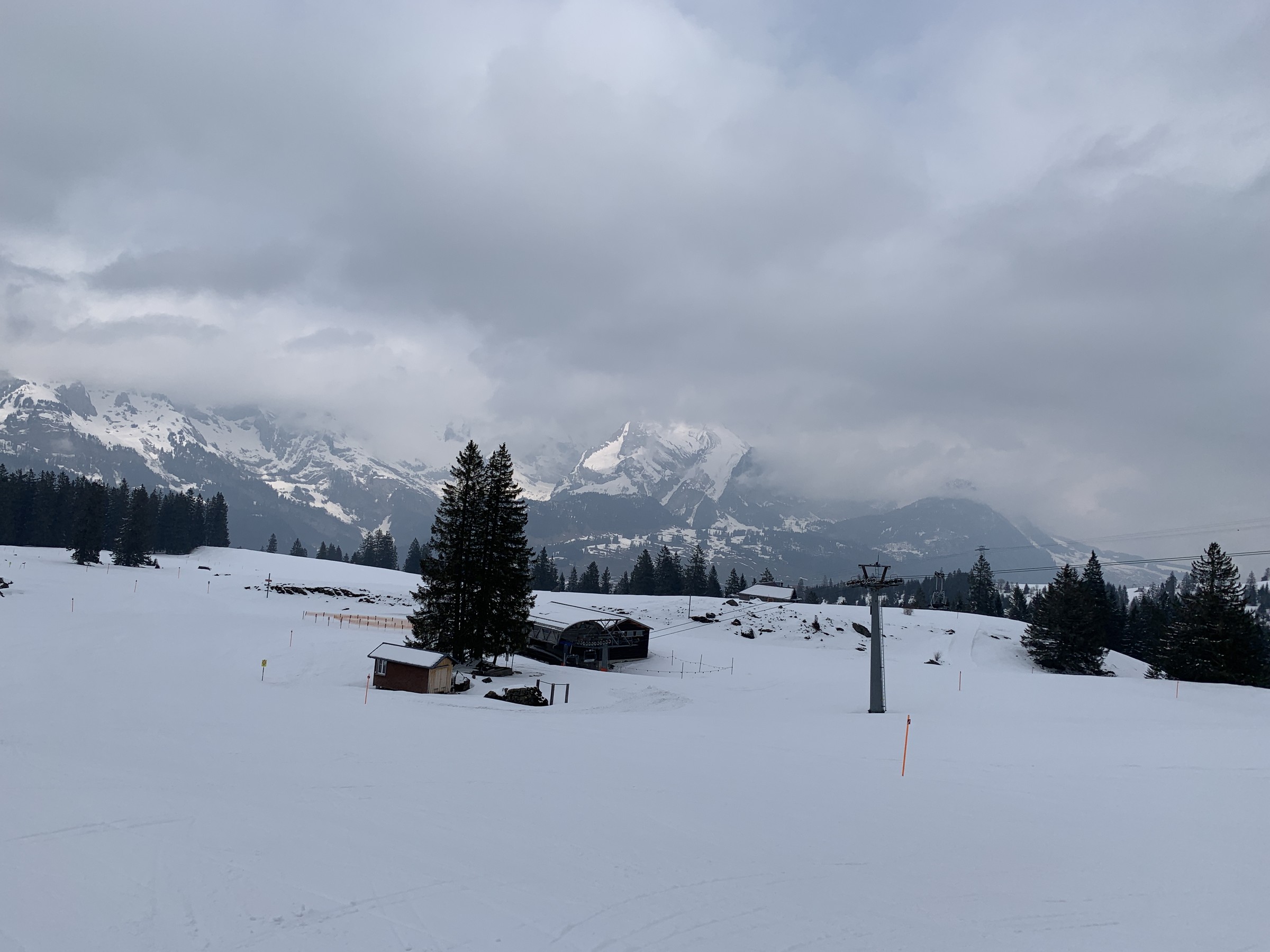 IMG_1502.jpeg