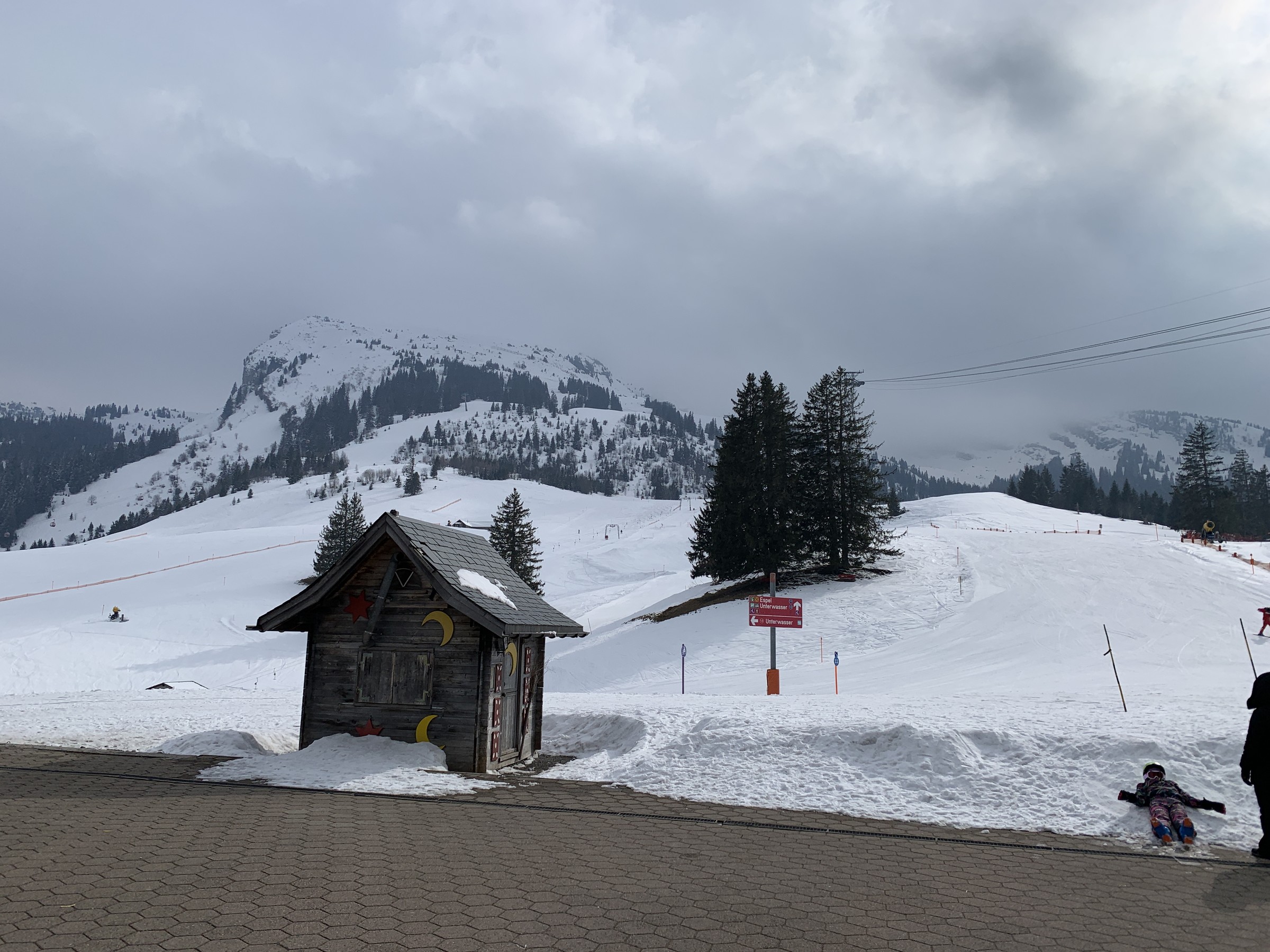 IMG_1505.jpeg