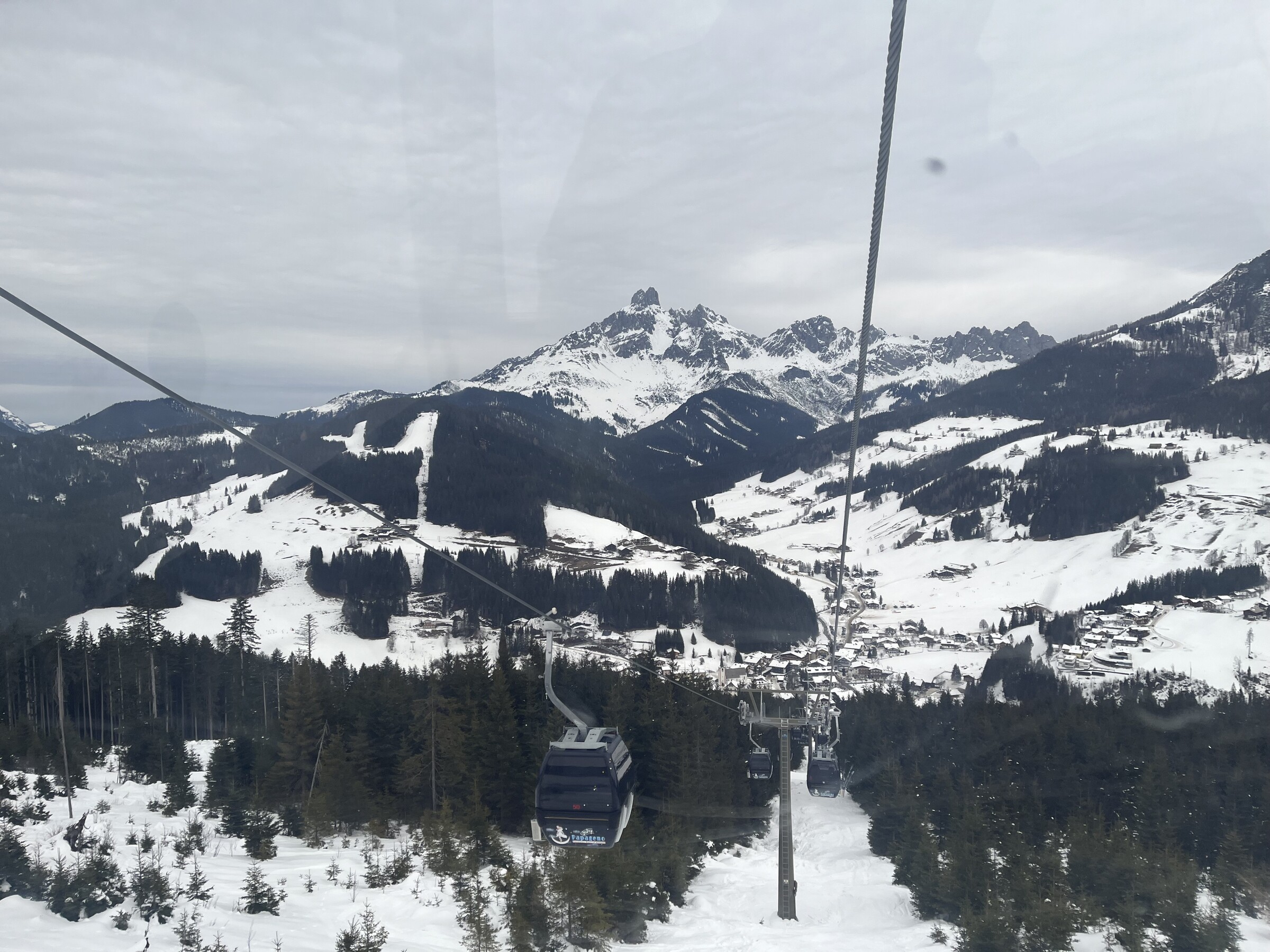 IMG_1526.jpeg