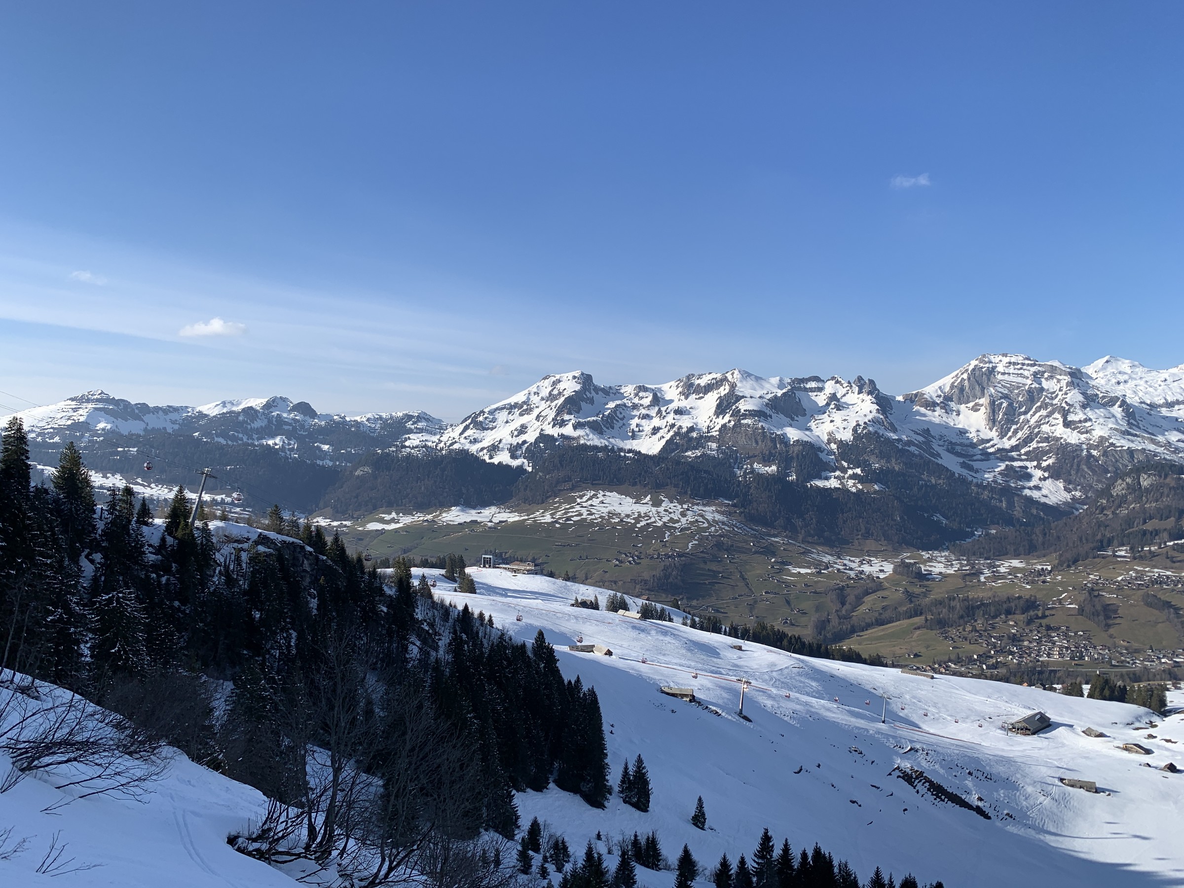 IMG_1542.jpeg