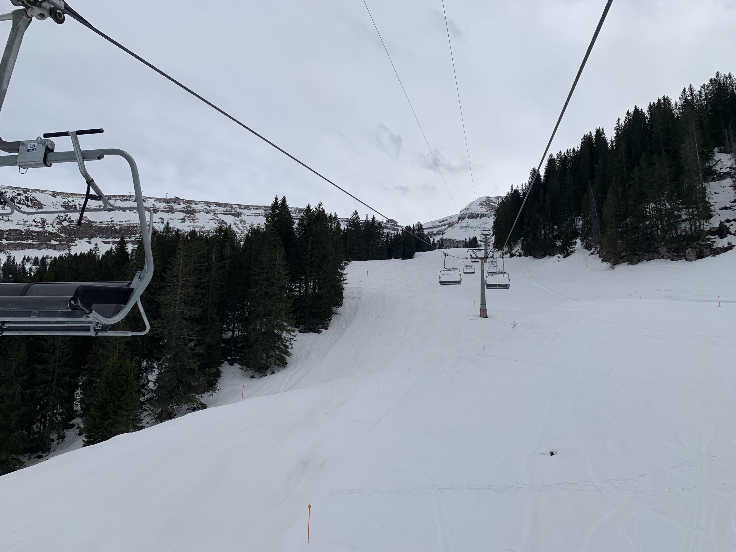 IMG_1567.jpeg