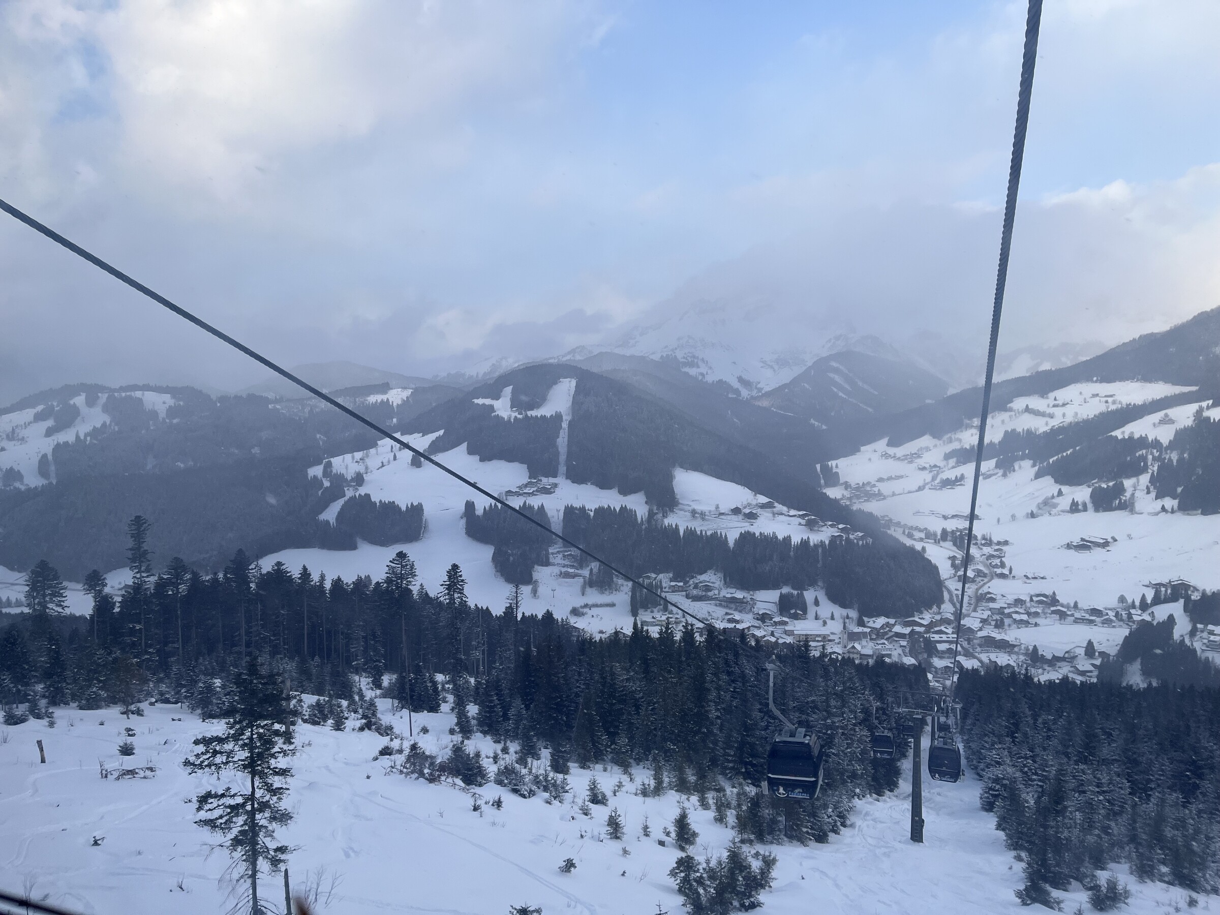 IMG_1613.jpeg