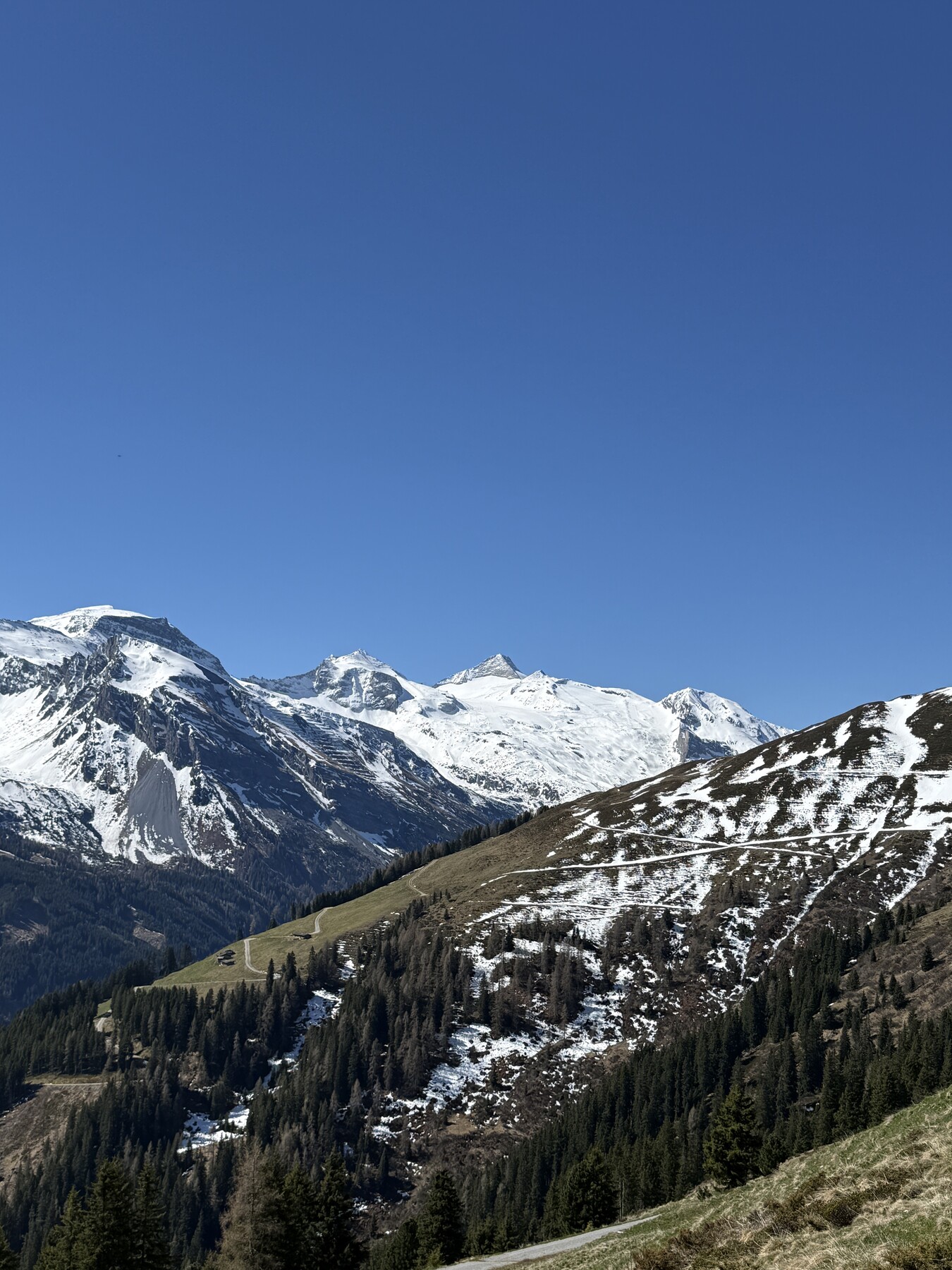 IMG_1618.jpeg