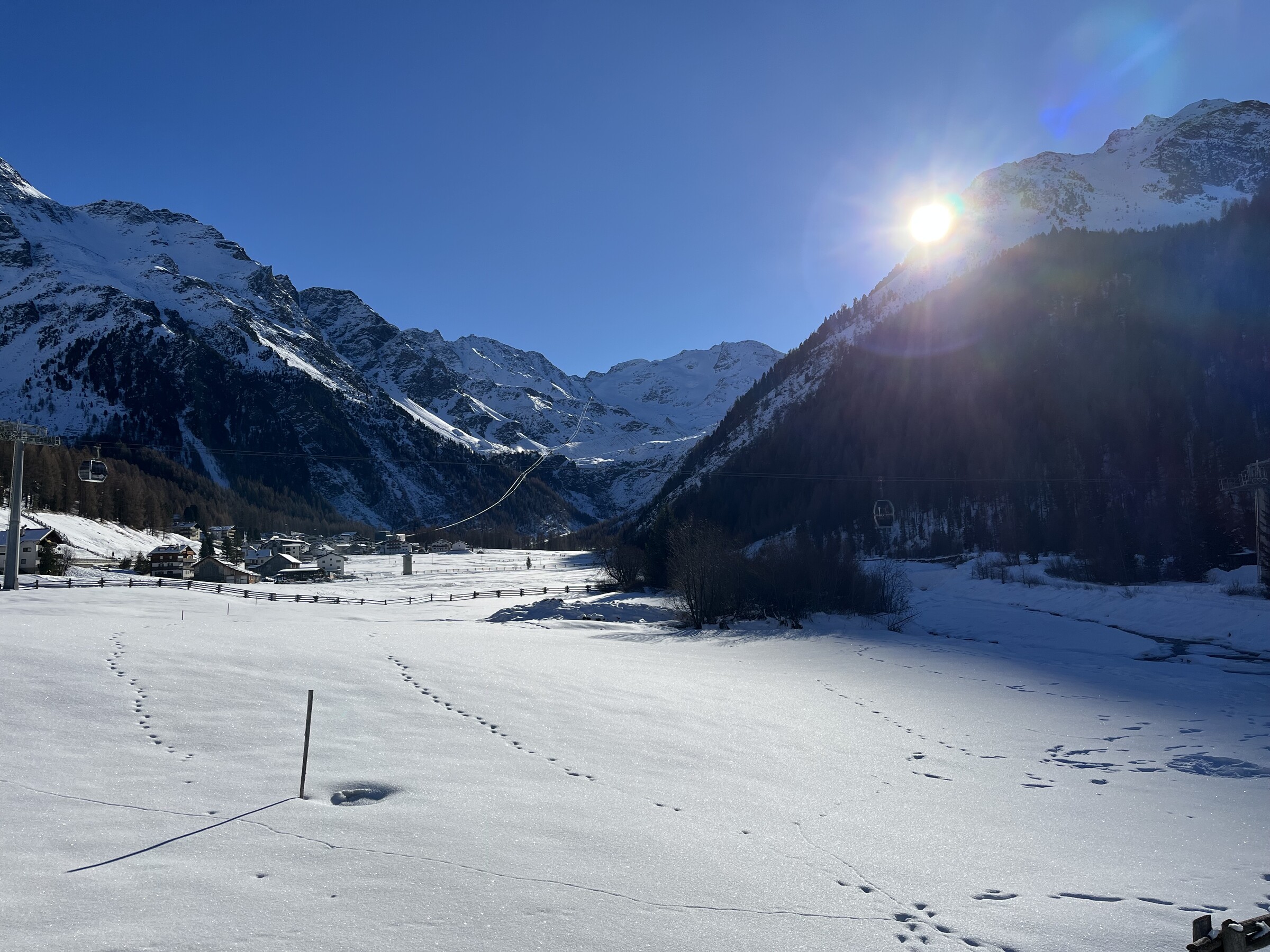 IMG_1651.jpeg