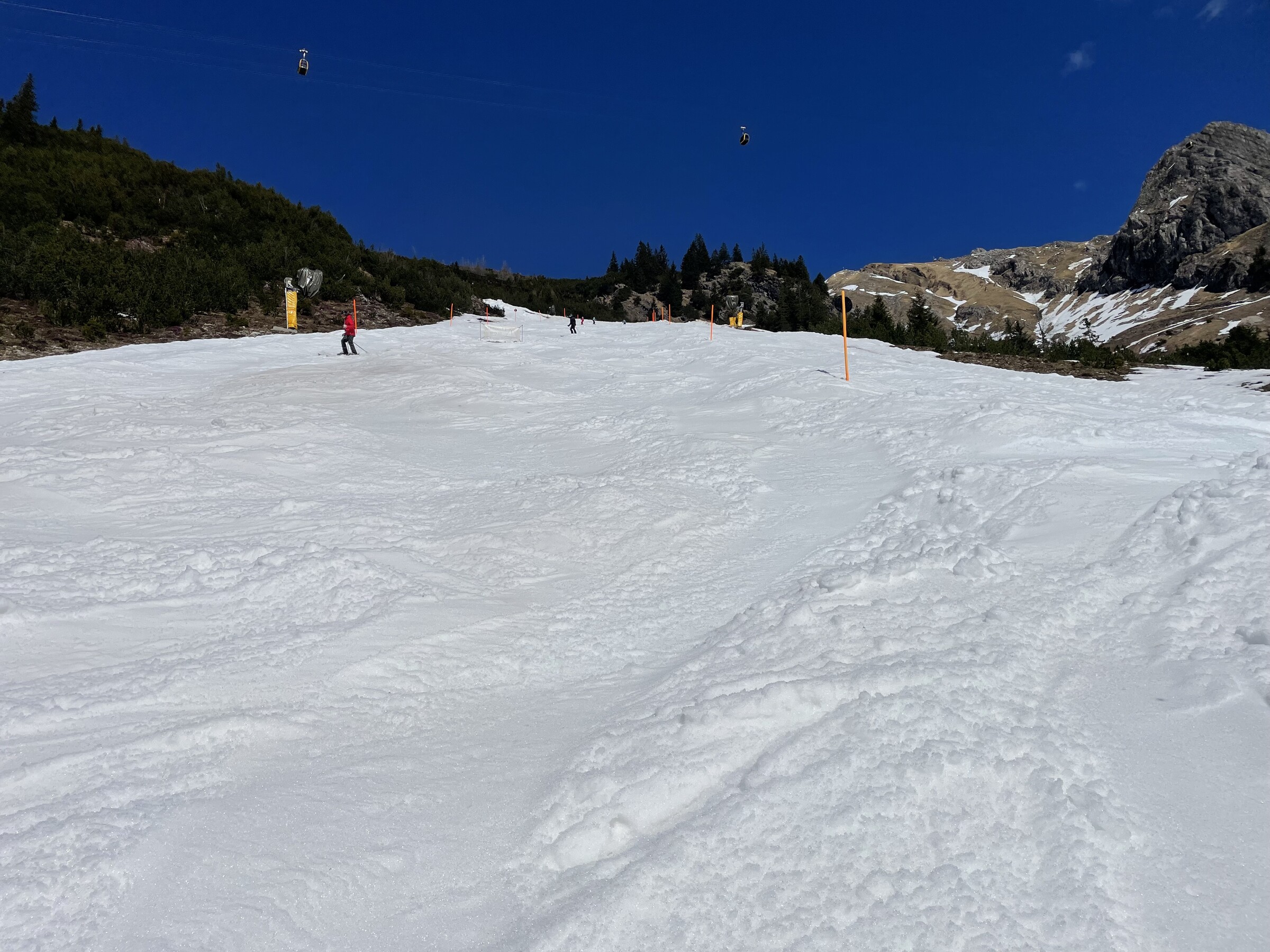 IMG_1670.jpeg