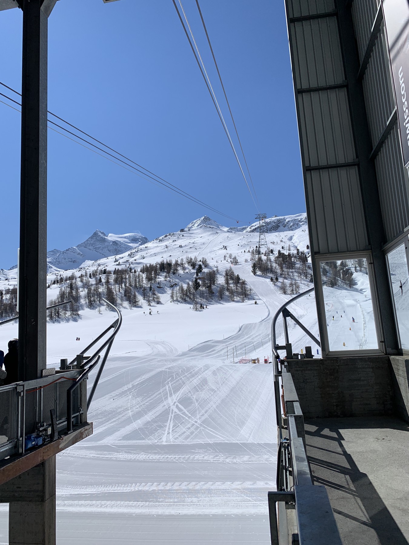 IMG_1883.jpeg