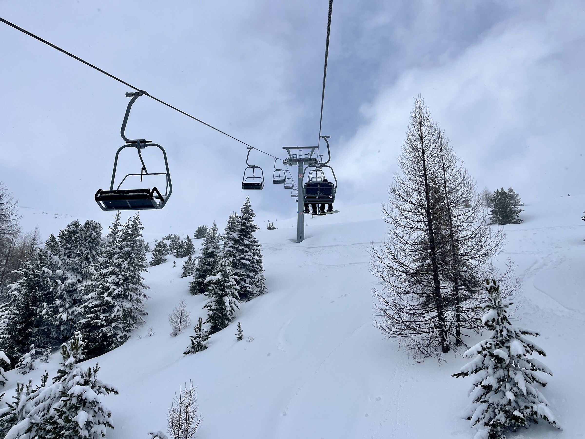 IMG_1960.jpeg
