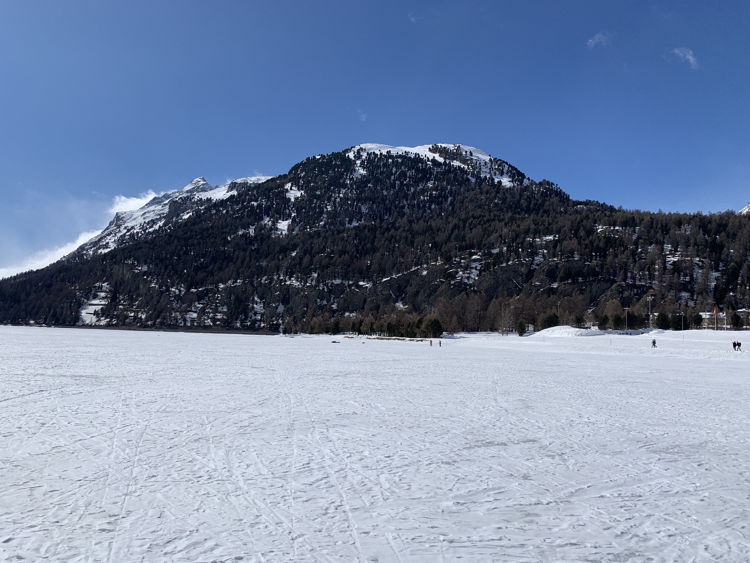 IMG_2006.jpeg