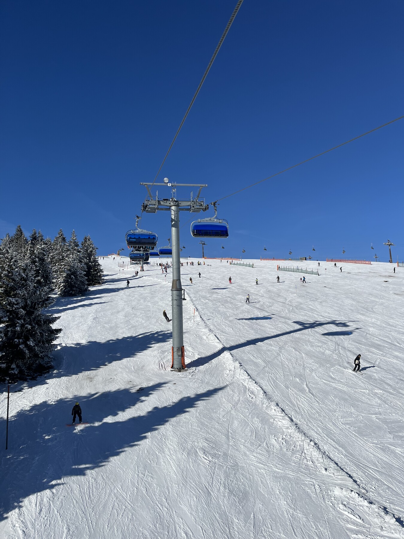 IMG_2008.jpeg