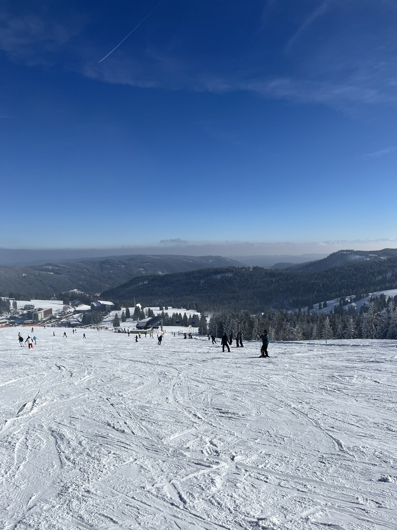 IMG_2018.jpeg
