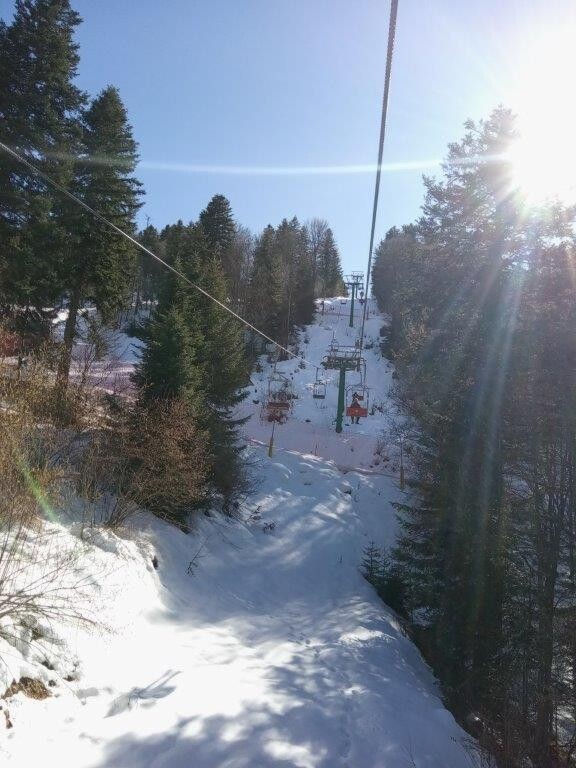 IMG_20260221_131536_1.jpg