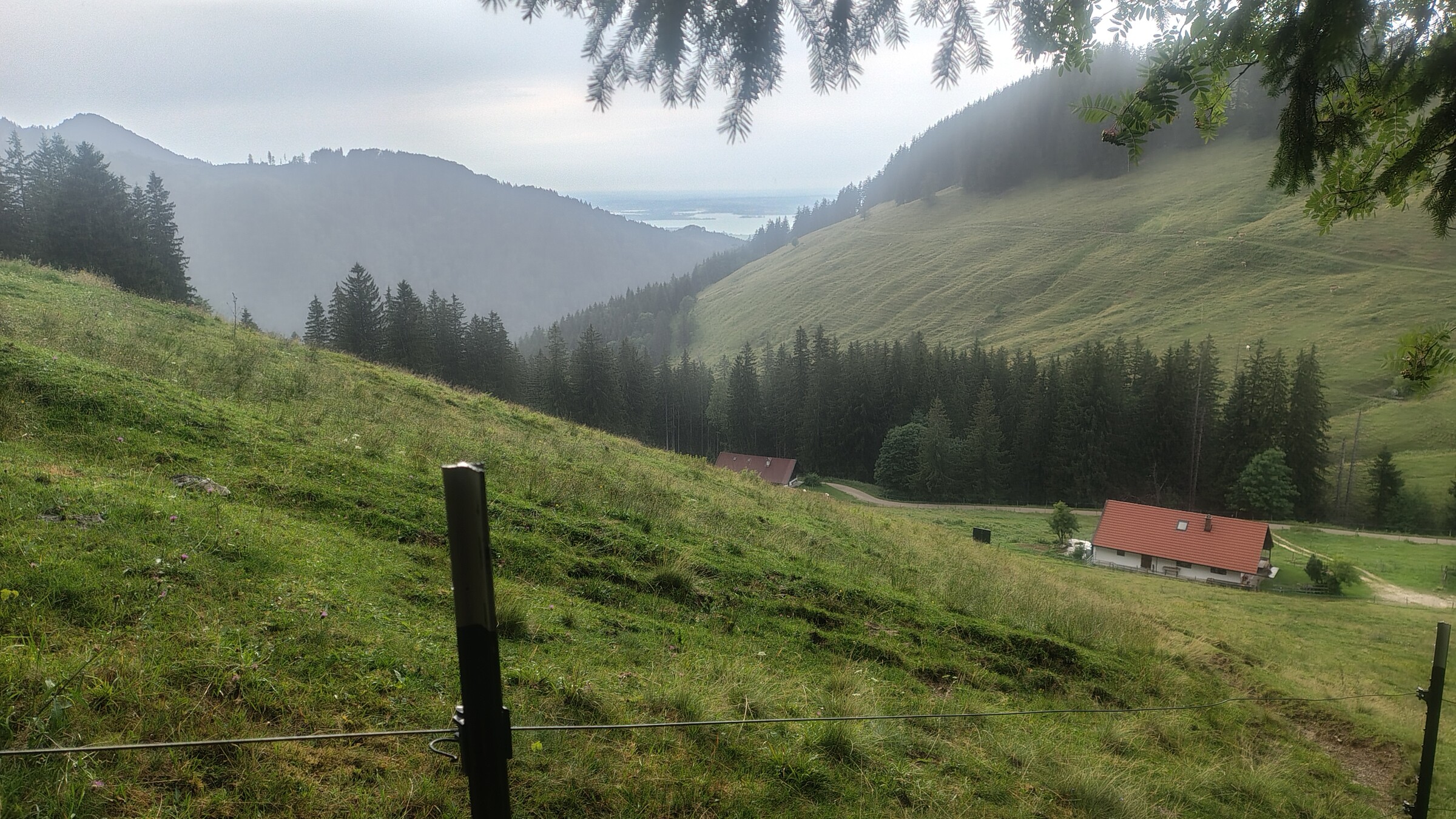 IMG_20260715_192057504_HDR.jpg
