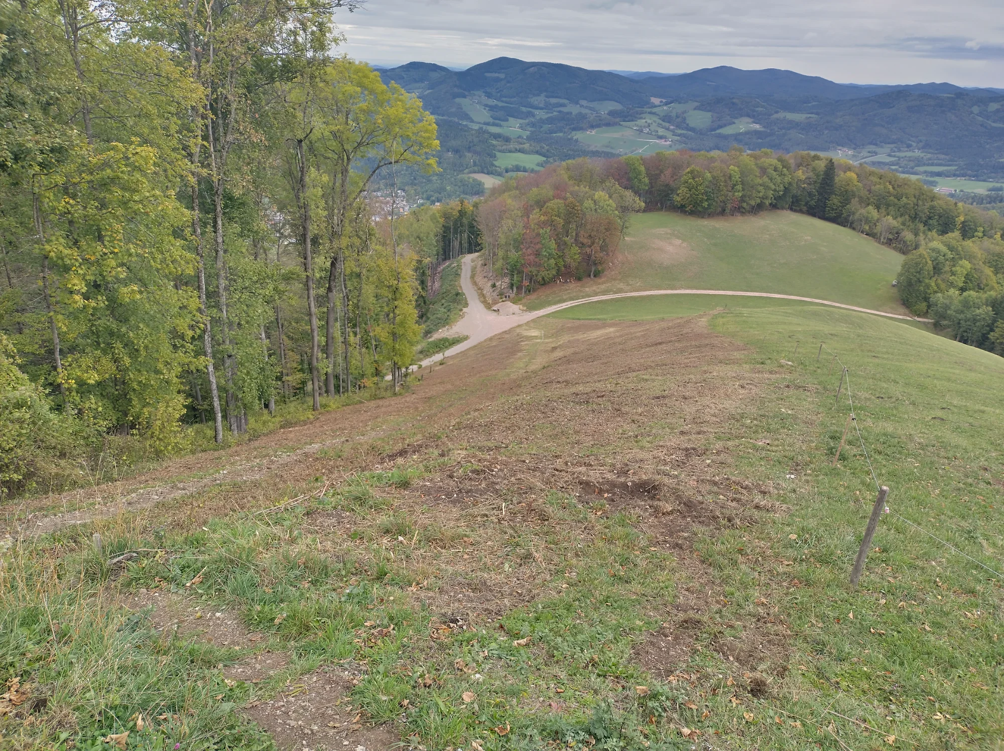 IMG_20261010_134042_HDR.webp