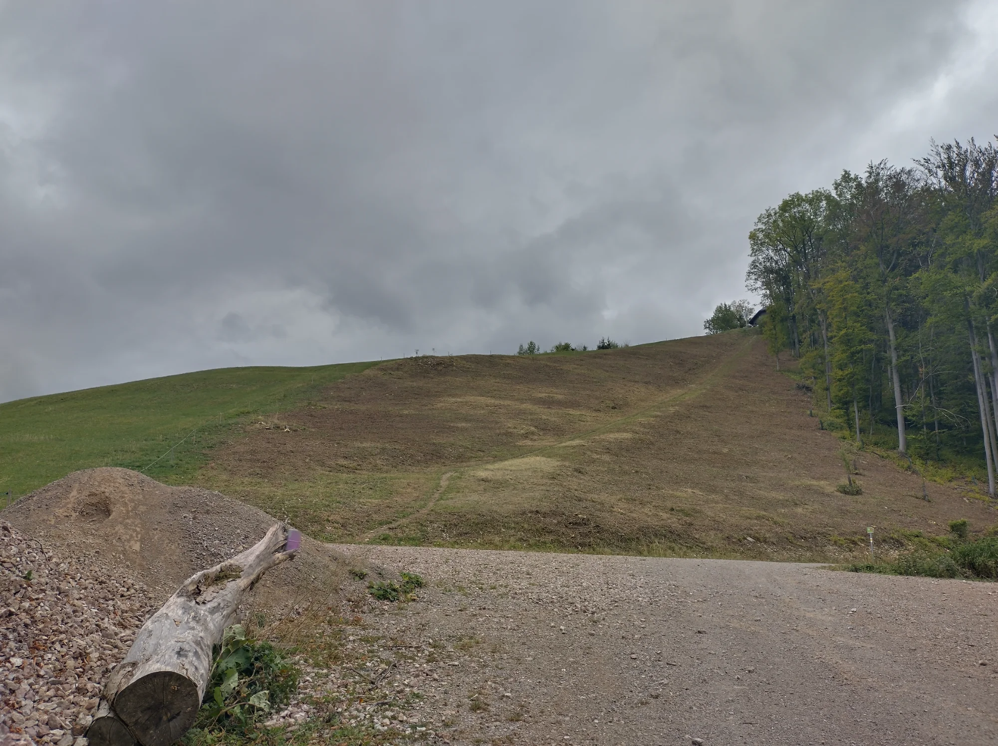 IMG_20261010_134543_HDR.webp
