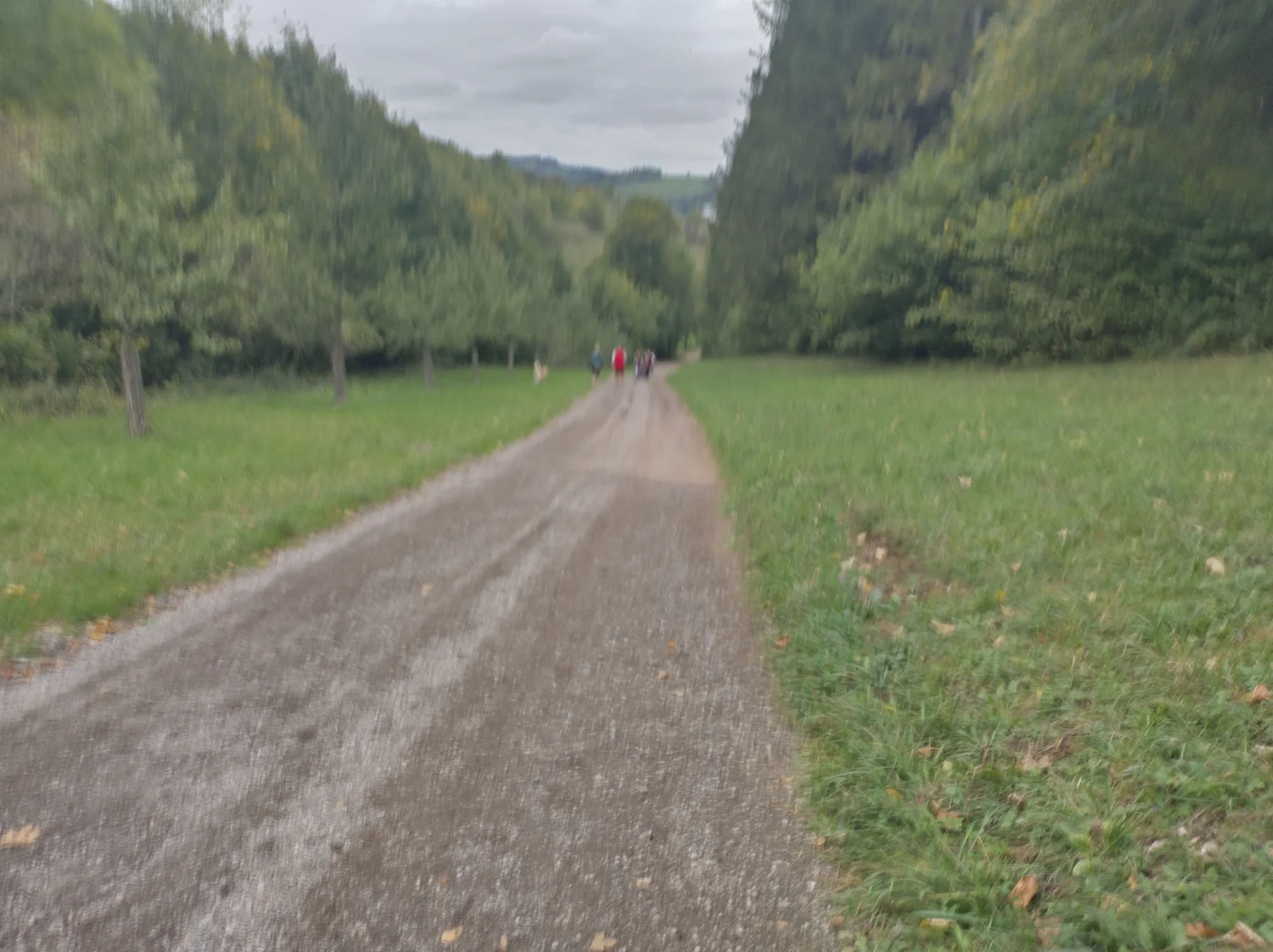 IMG_20261010_154001_HDR.webp