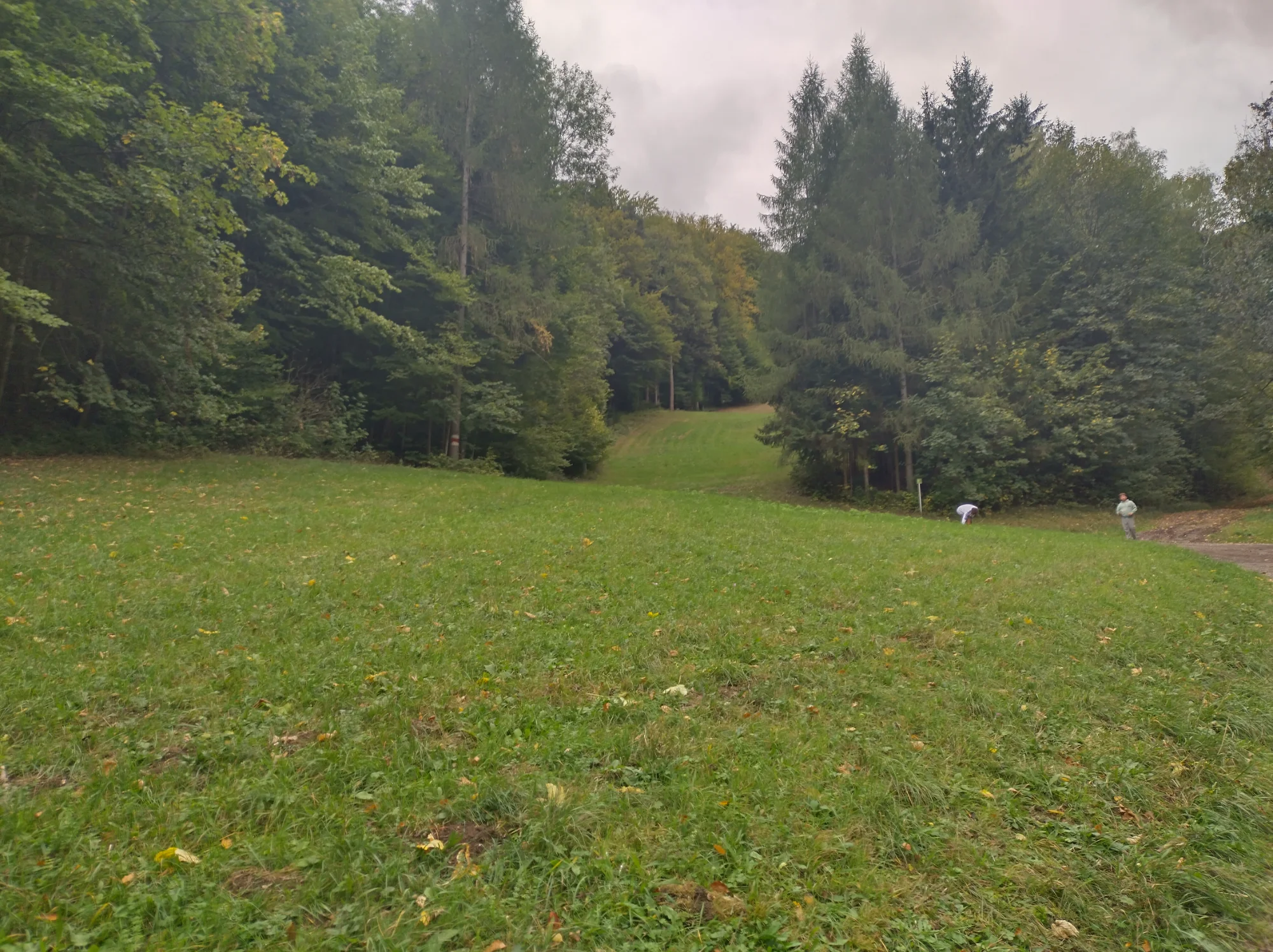 IMG_20261010_154007_HDR.webp