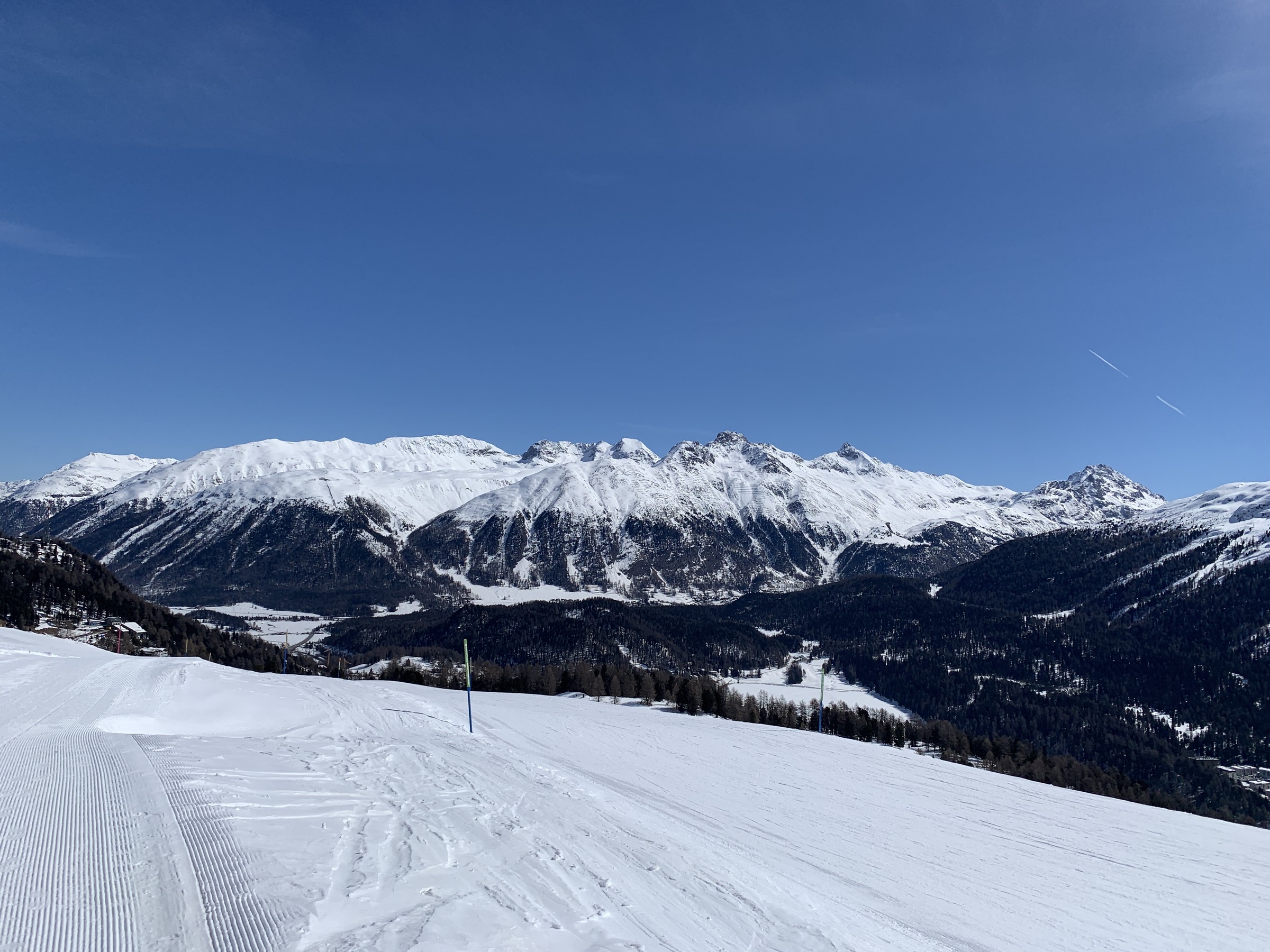 IMG_2039.jpeg