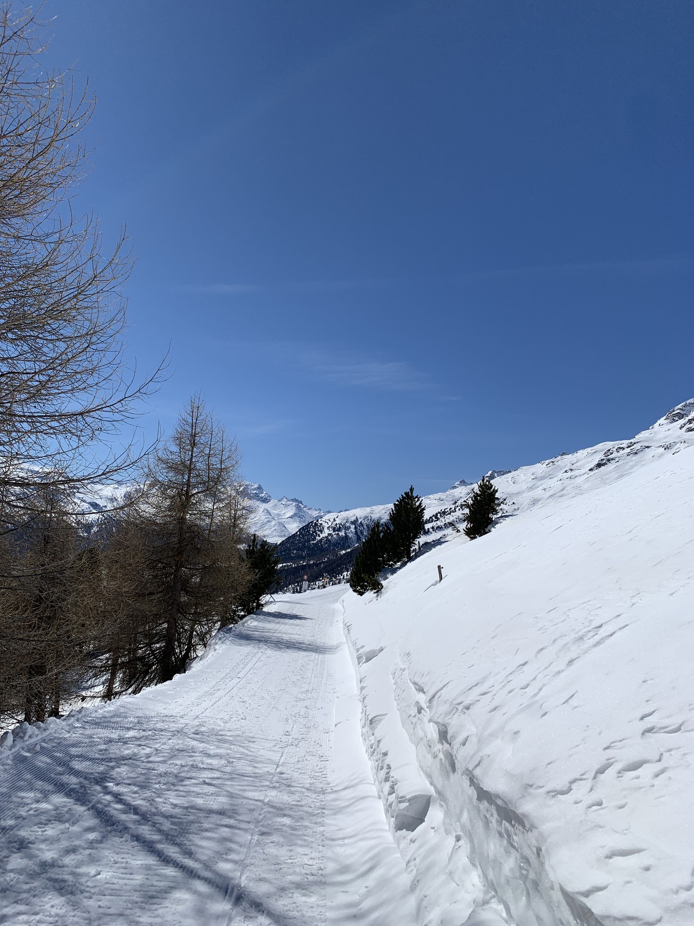 IMG_2047.jpeg
