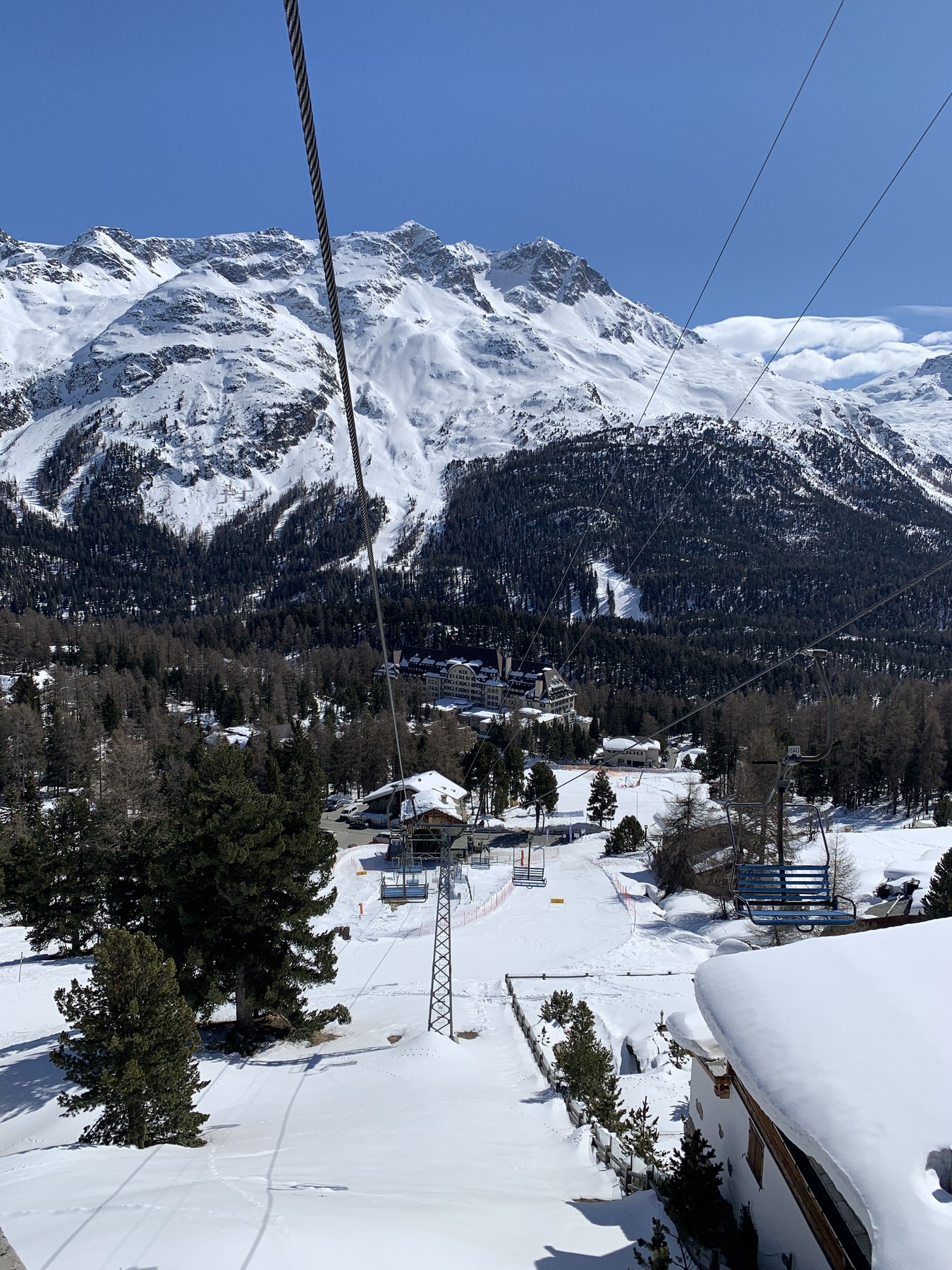 IMG_2084.jpeg