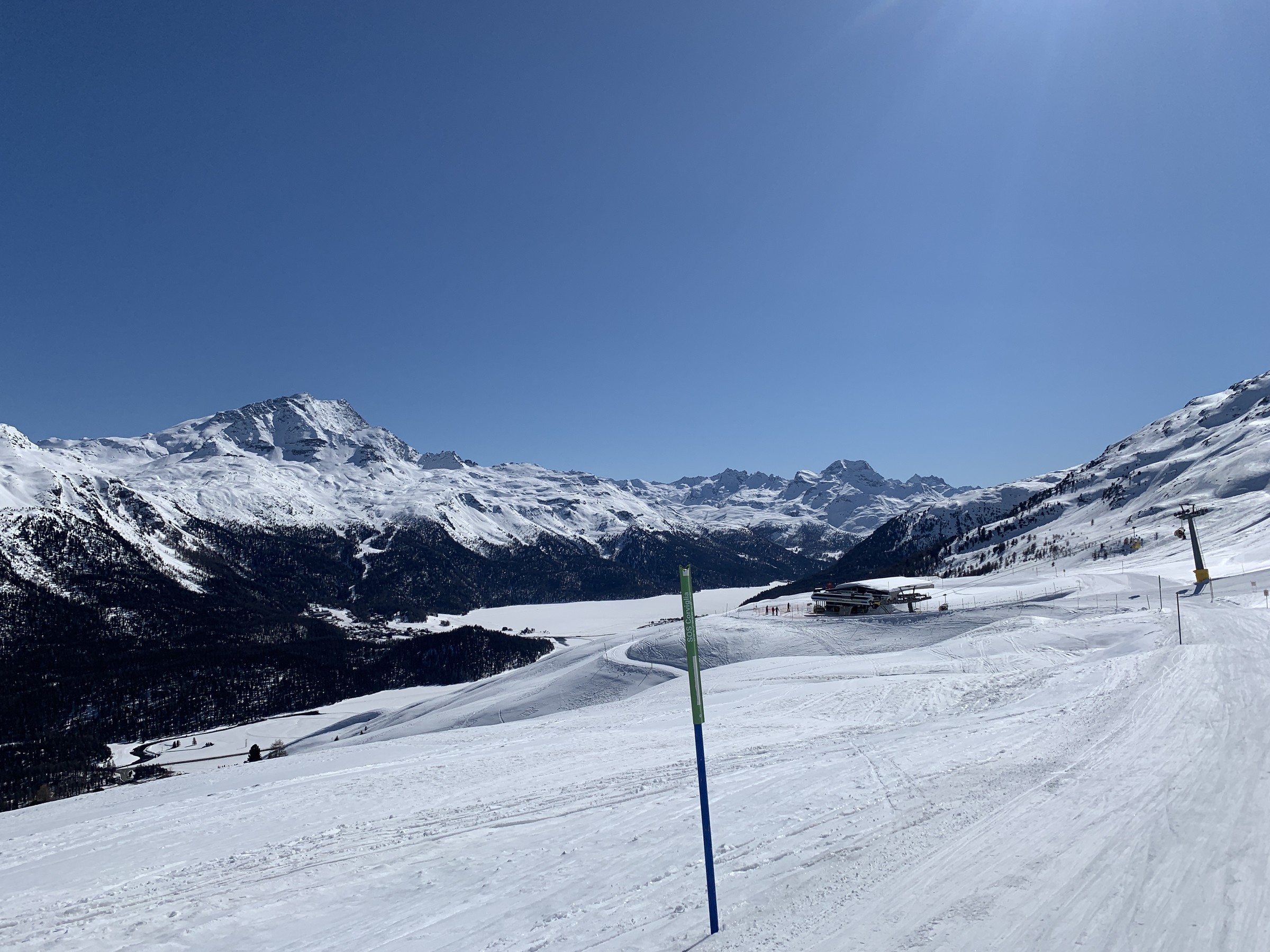 IMG_2177.jpeg