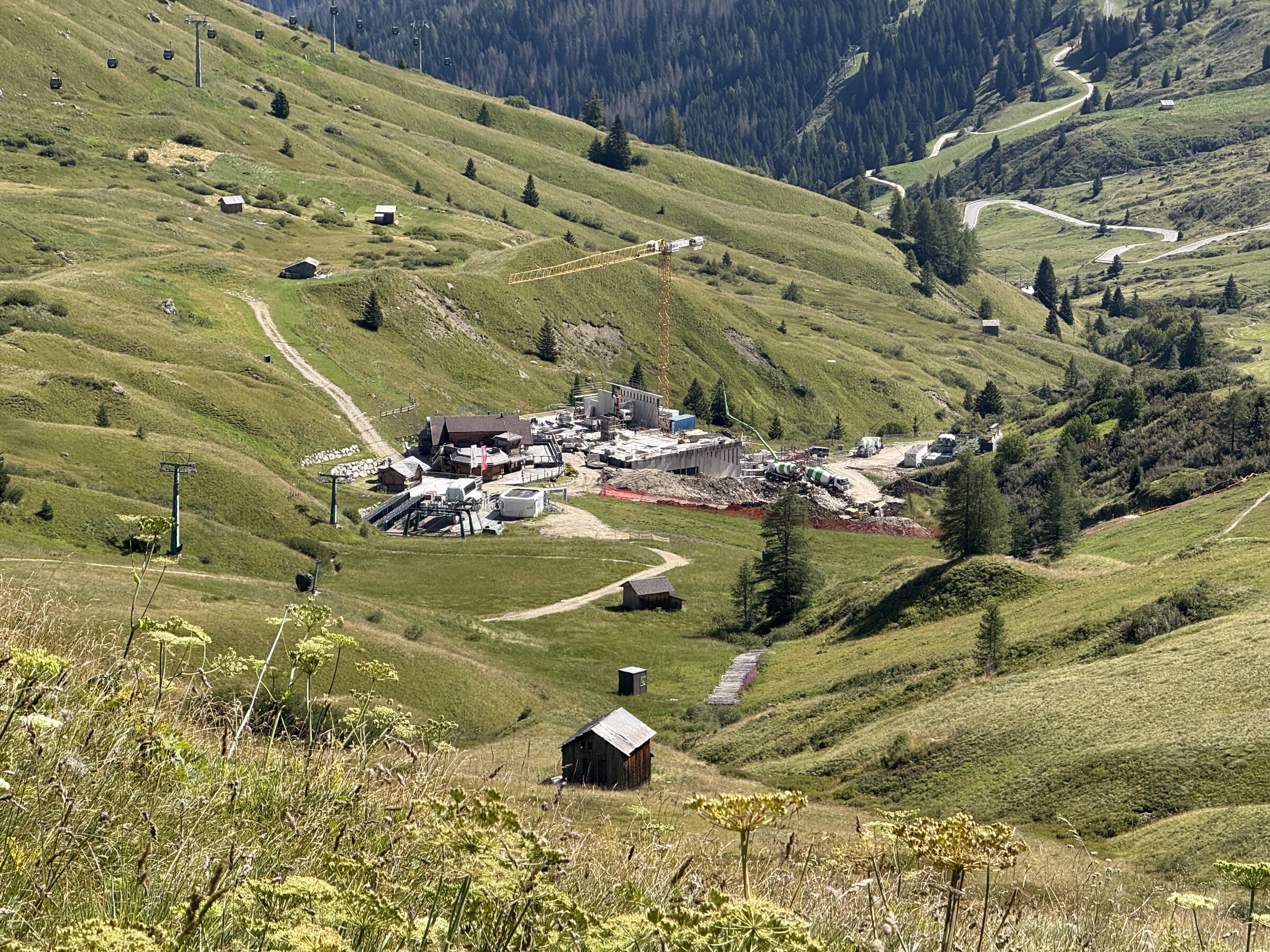 IMG_2181.jpeg