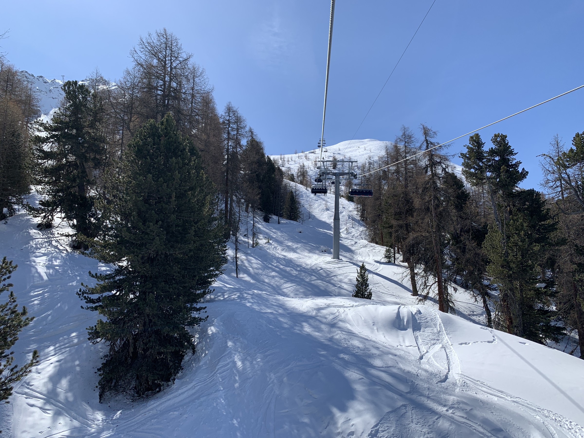 IMG_2216.jpeg