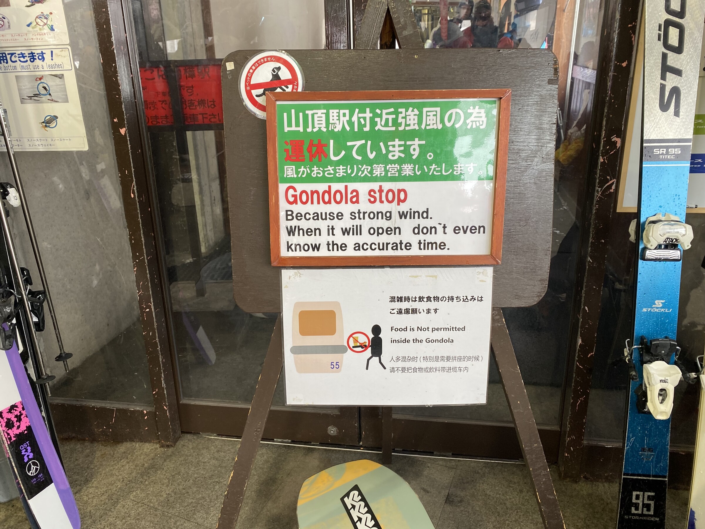 IMG_2345.jpeg