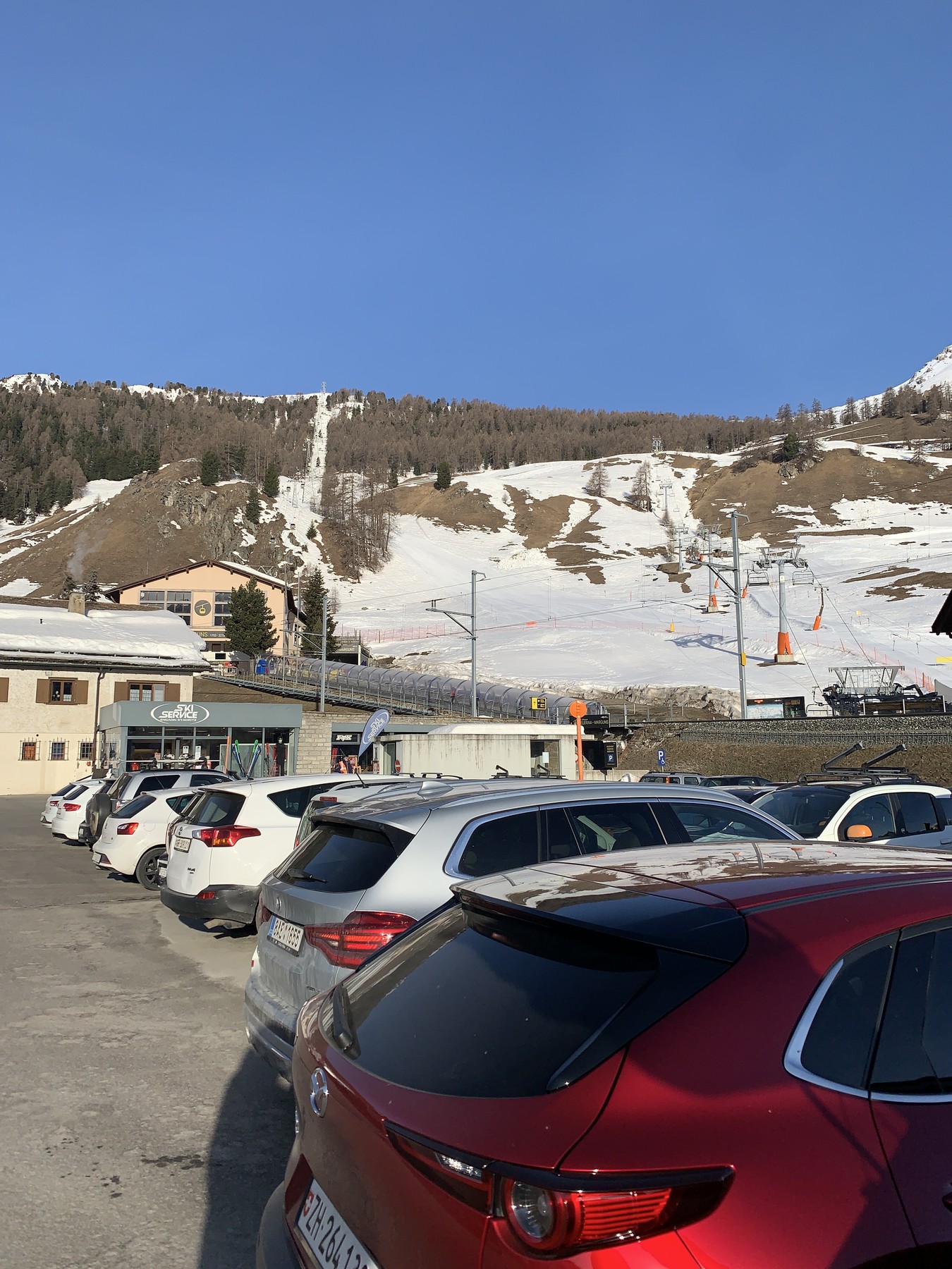 IMG_2384.jpeg