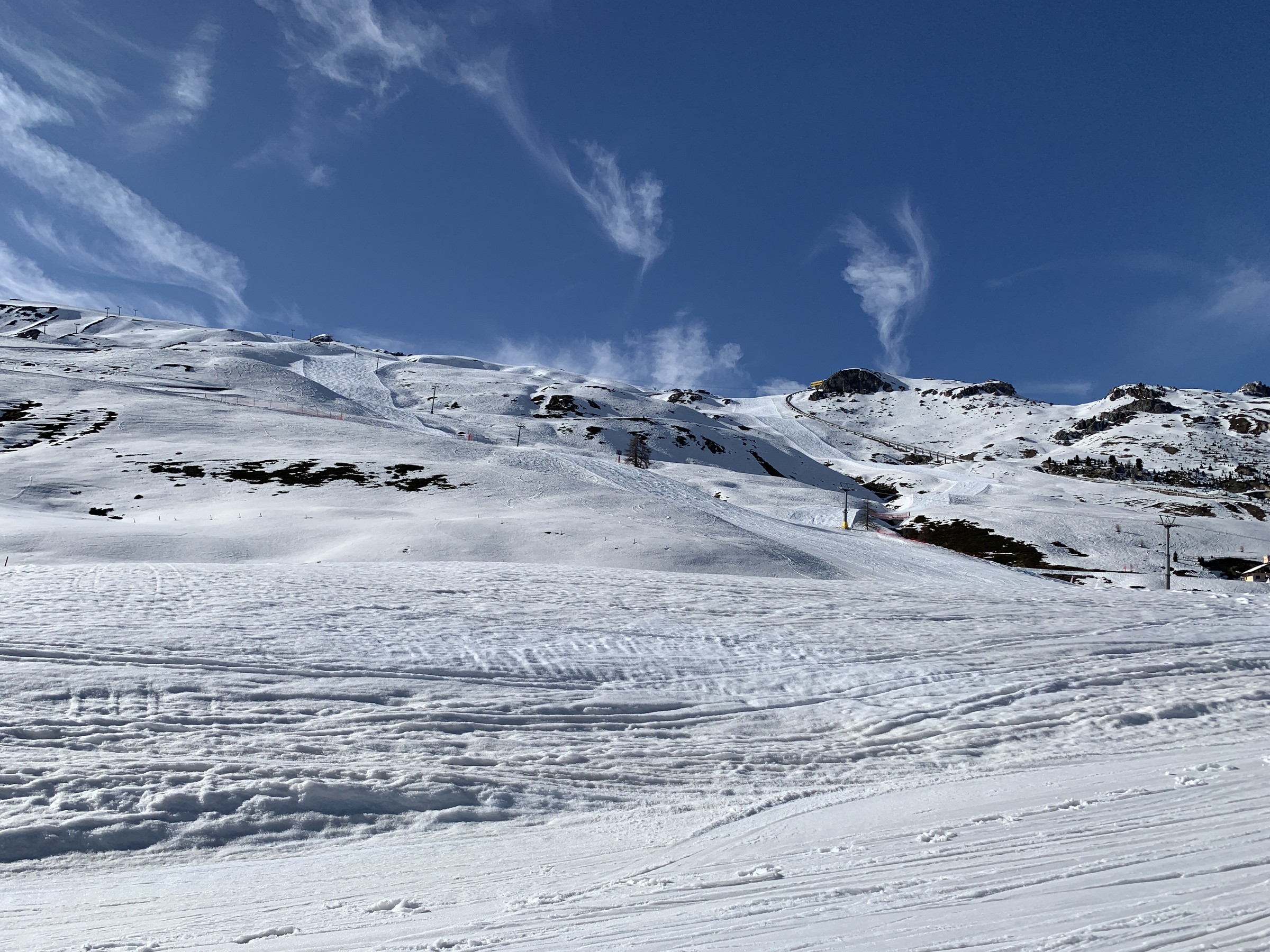 IMG_2490.jpeg