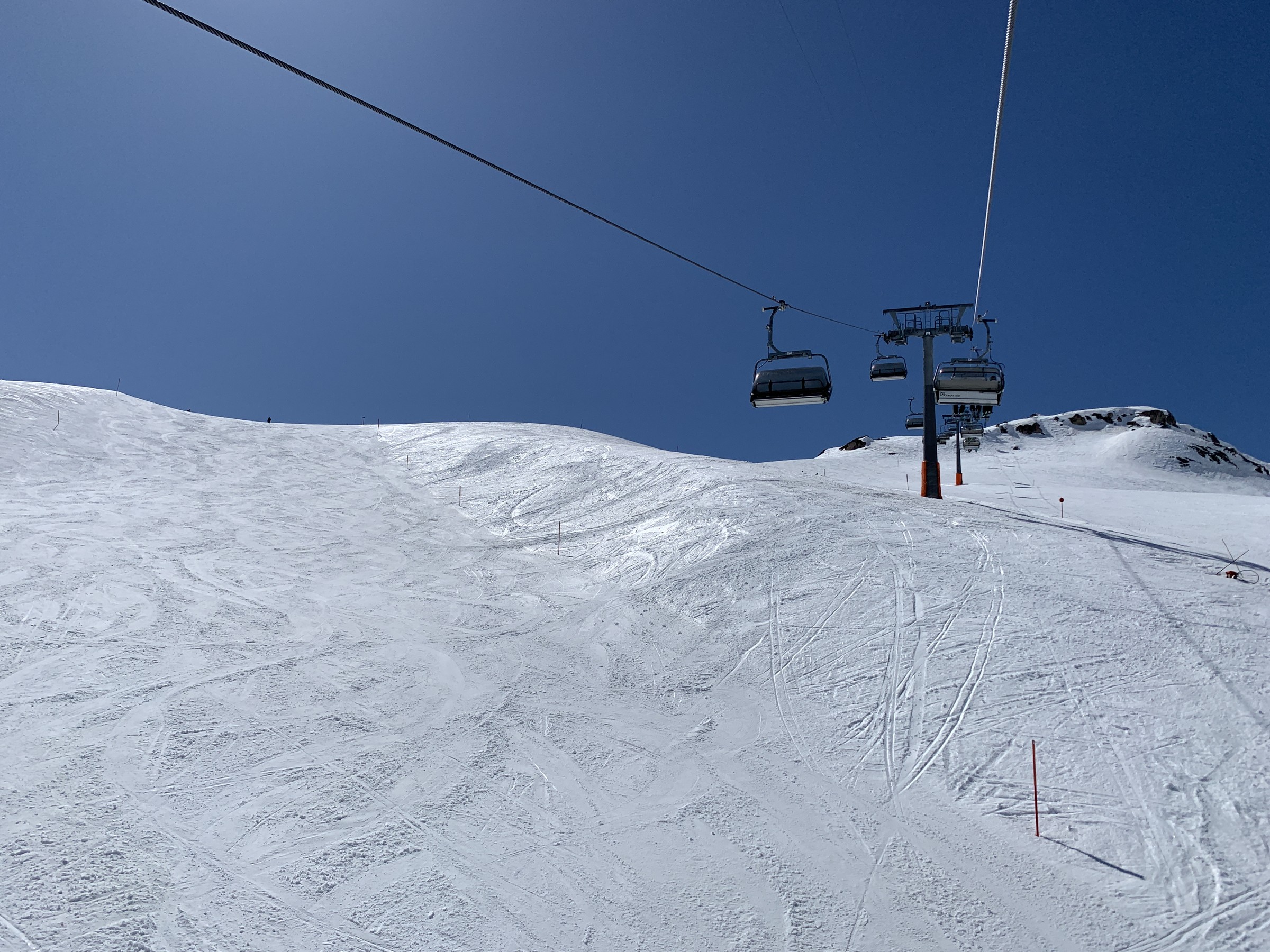 IMG_2528.jpeg