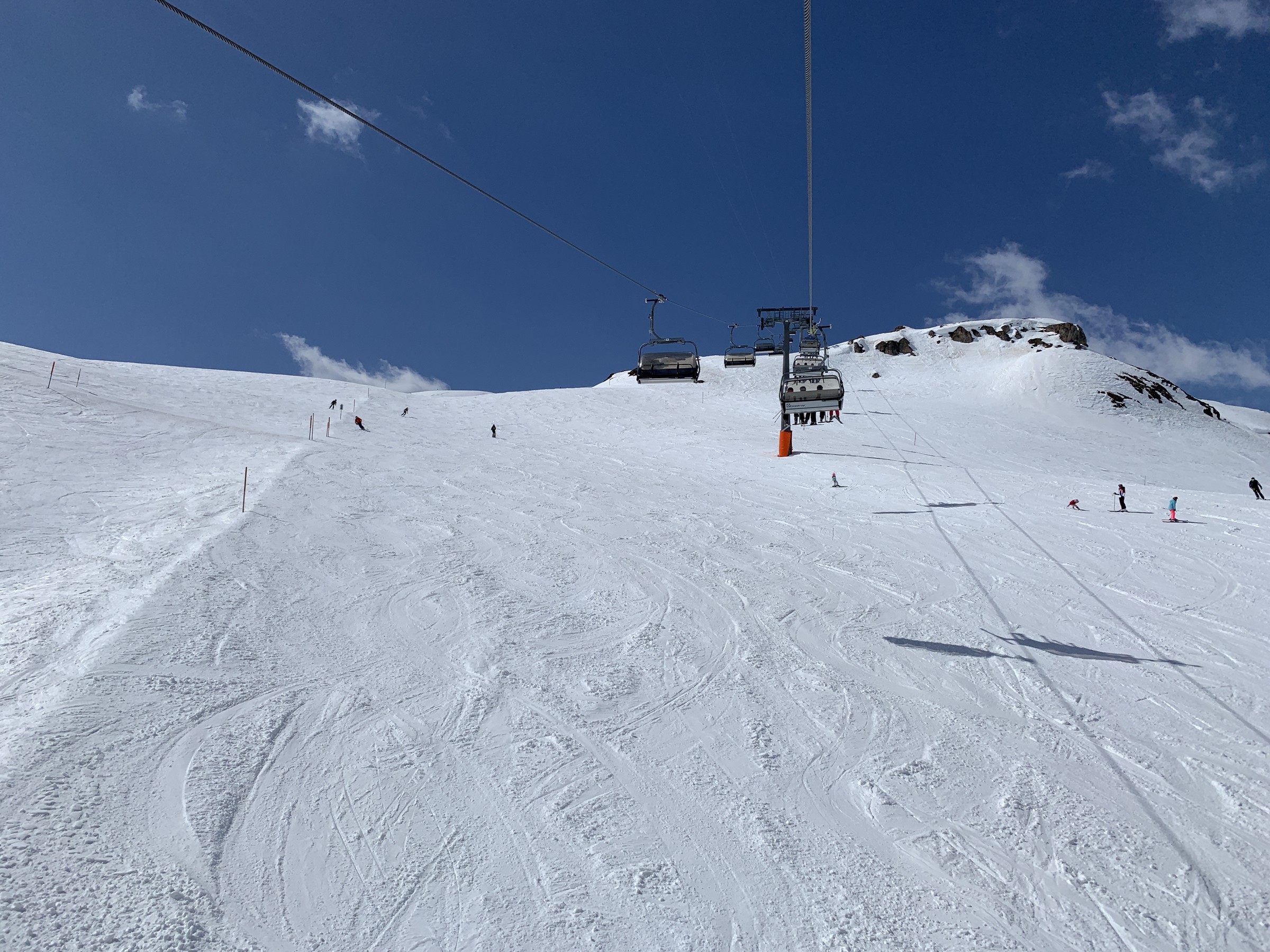 IMG_2636.jpeg