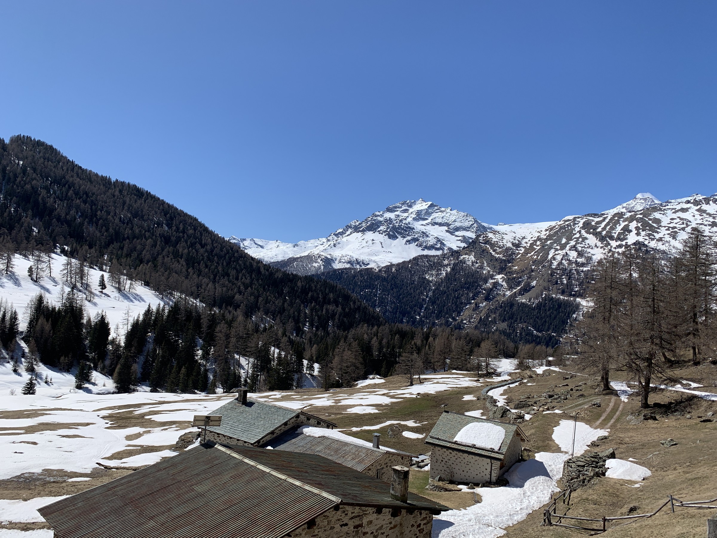 IMG_2836.jpeg