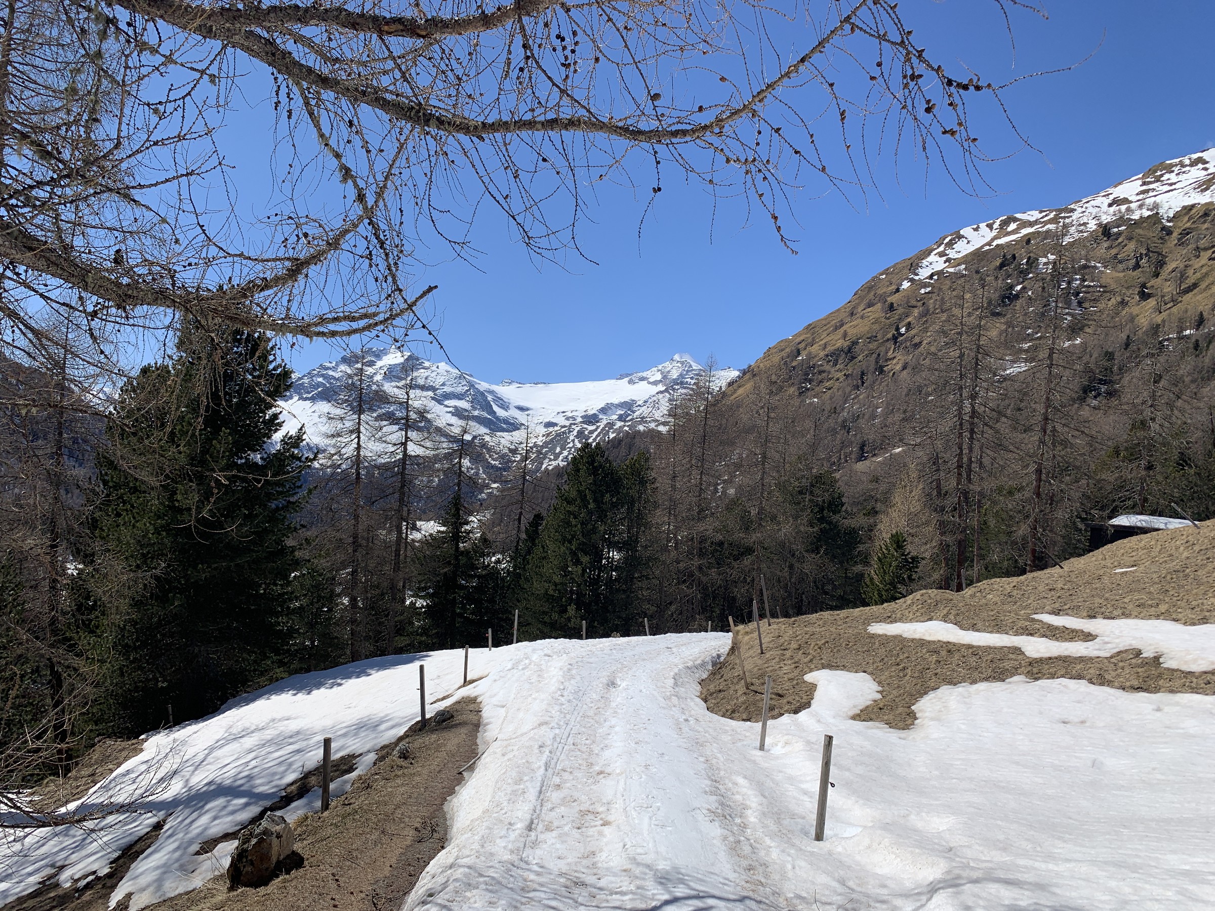 IMG_2841.jpeg