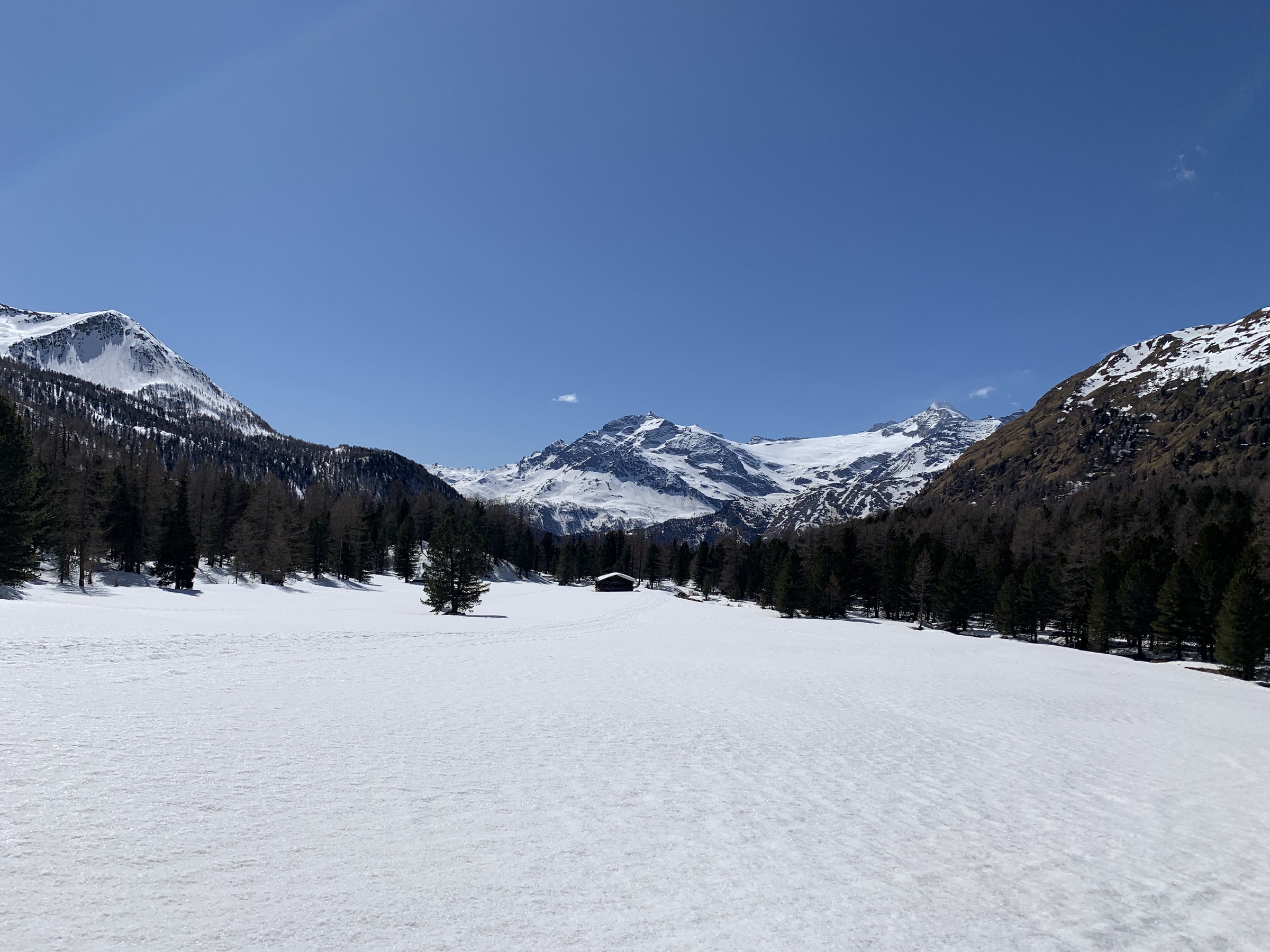 IMG_2846.jpeg